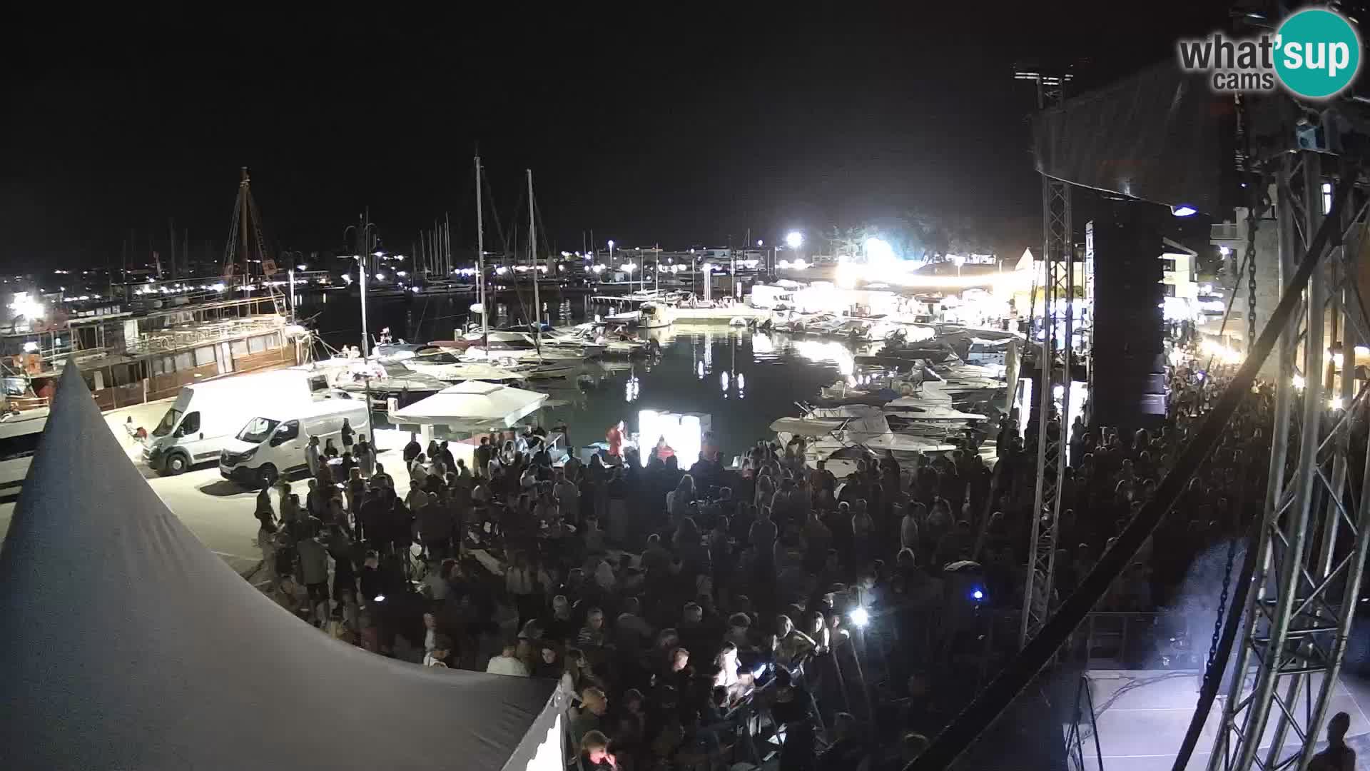 Novigrad | Porporela marina