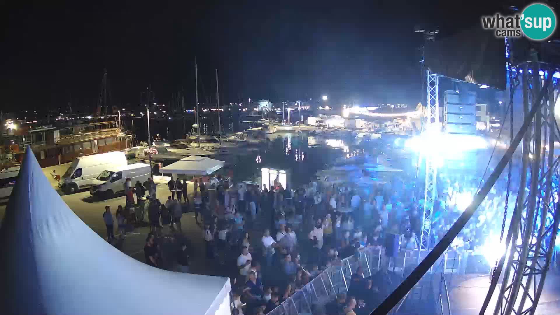 Novigrad | Porporela marina