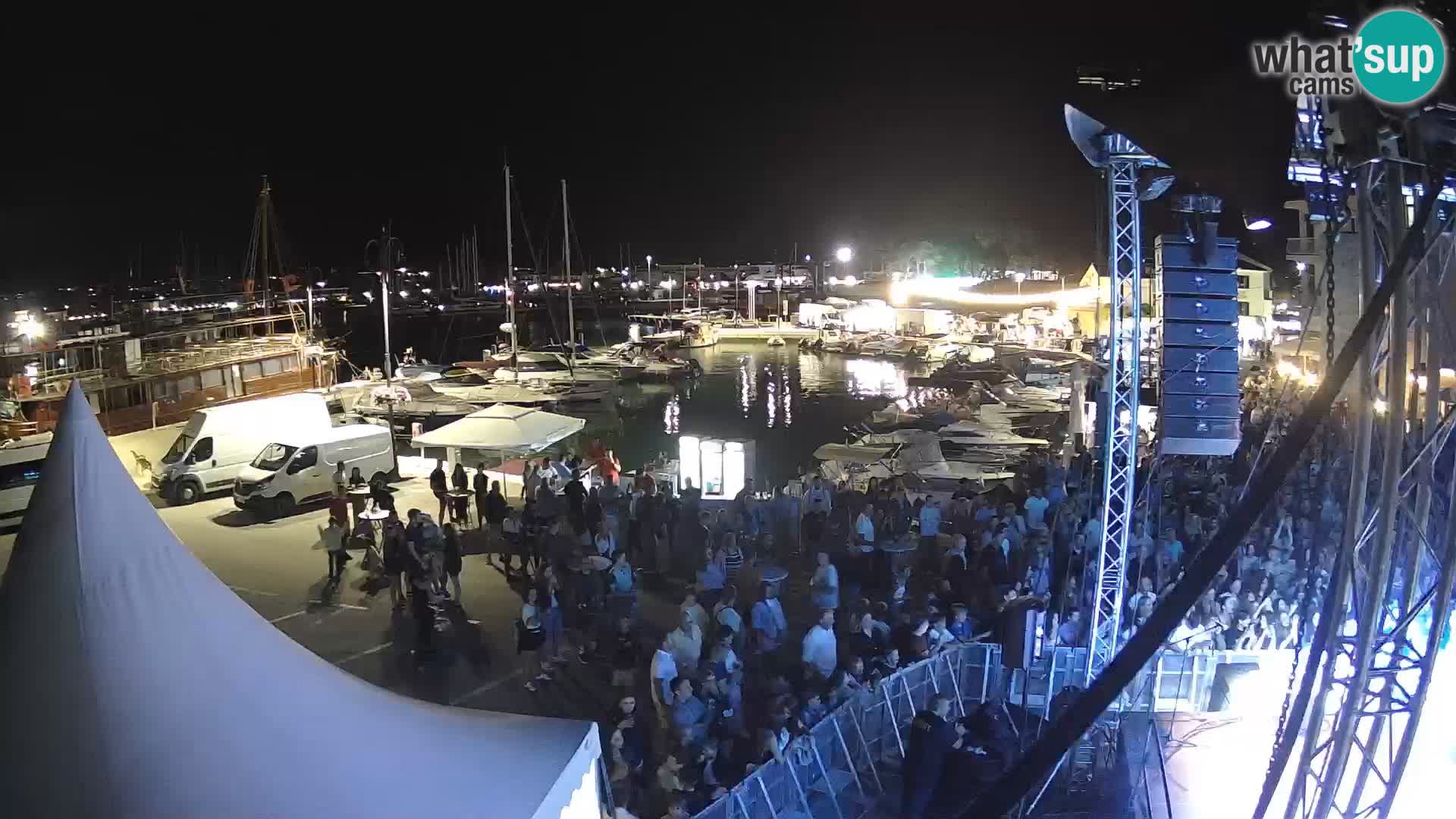 Novigrad | Porporela marina