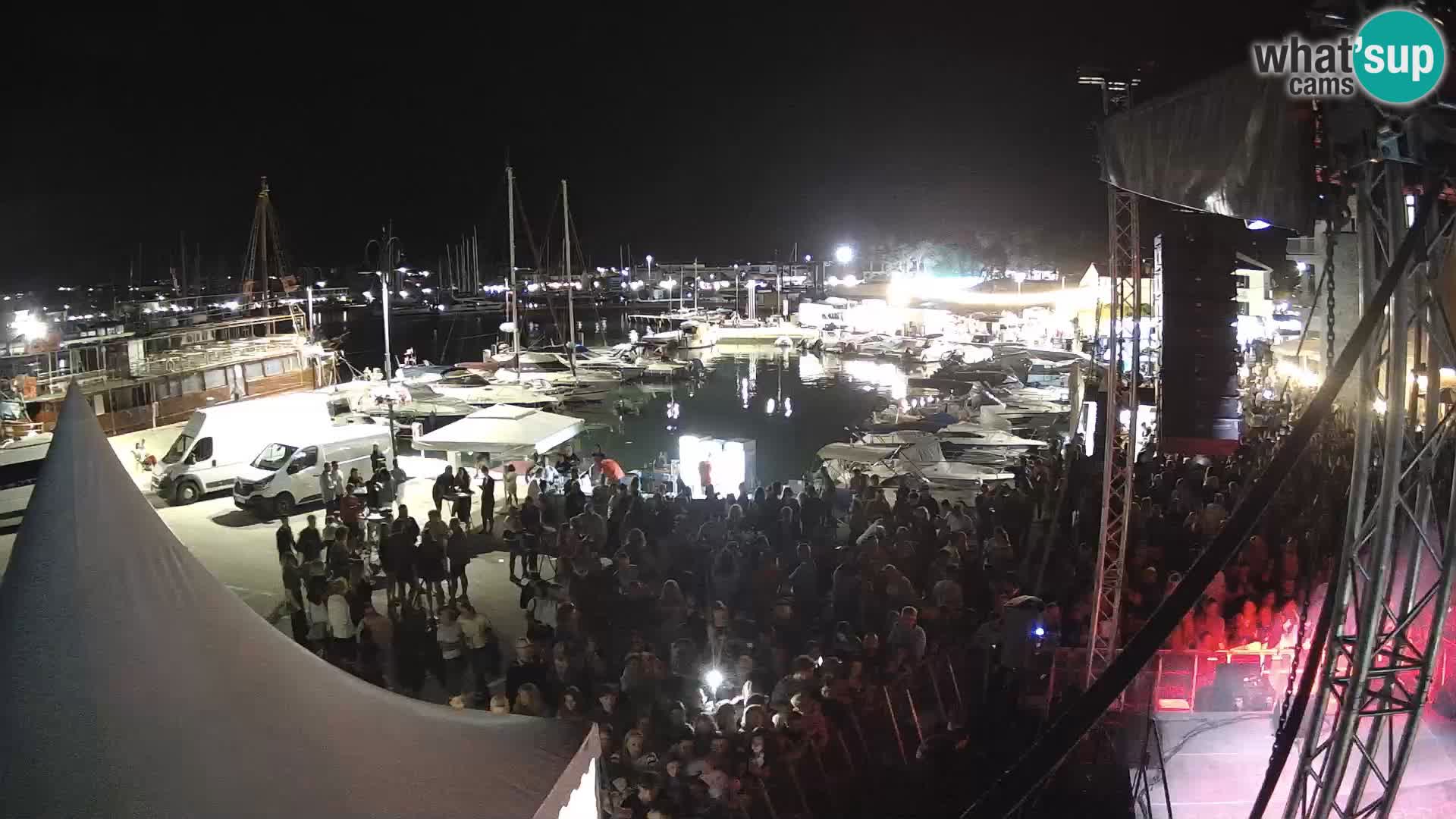Novigrad | Porporela marina