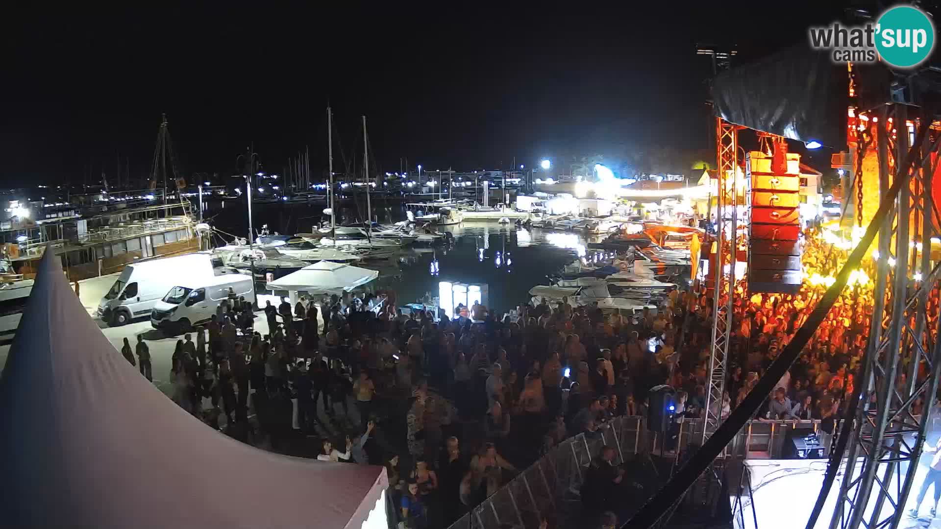 Novigrad | Porporela marina