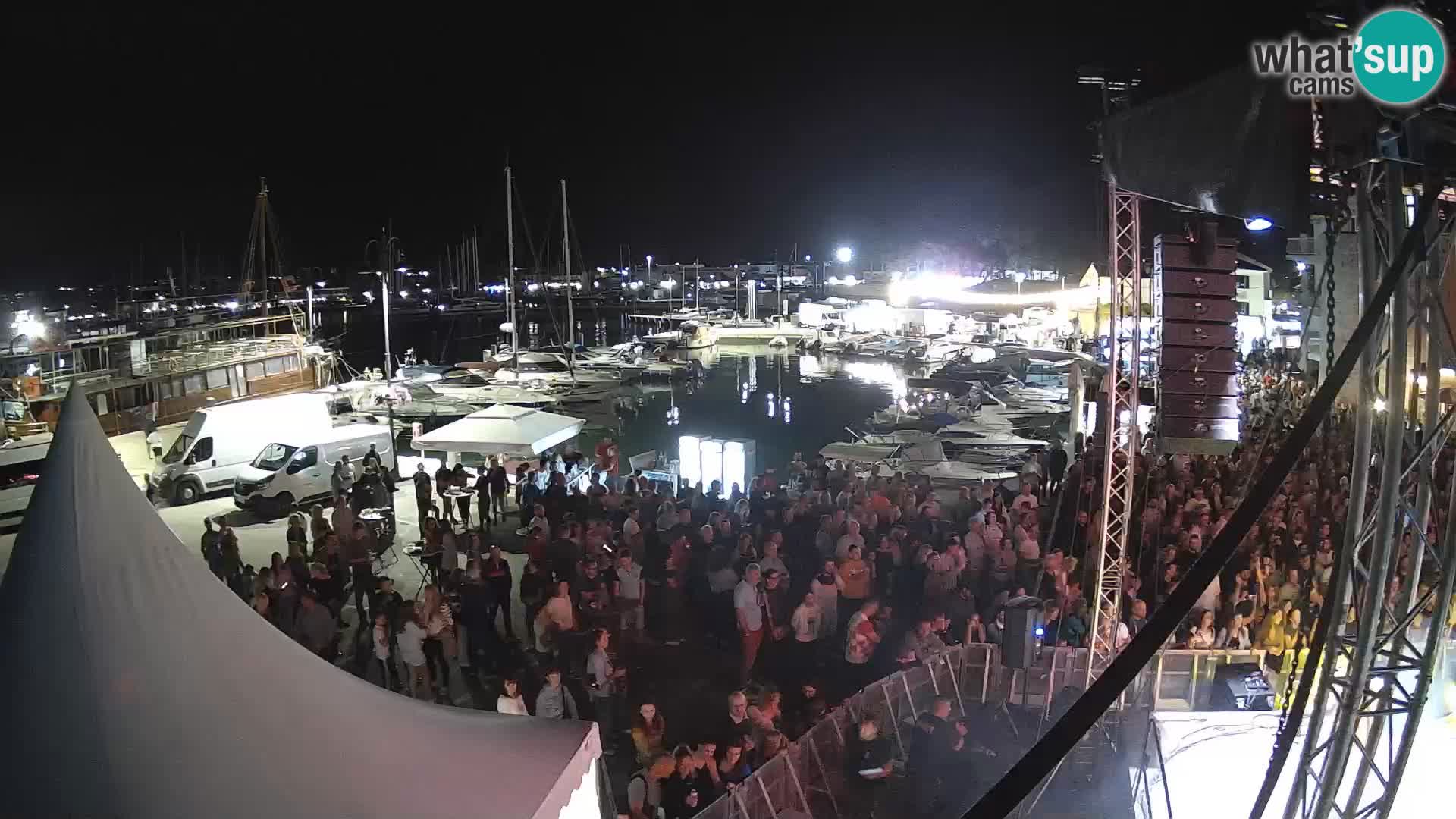 Novigrad | Porporela marina