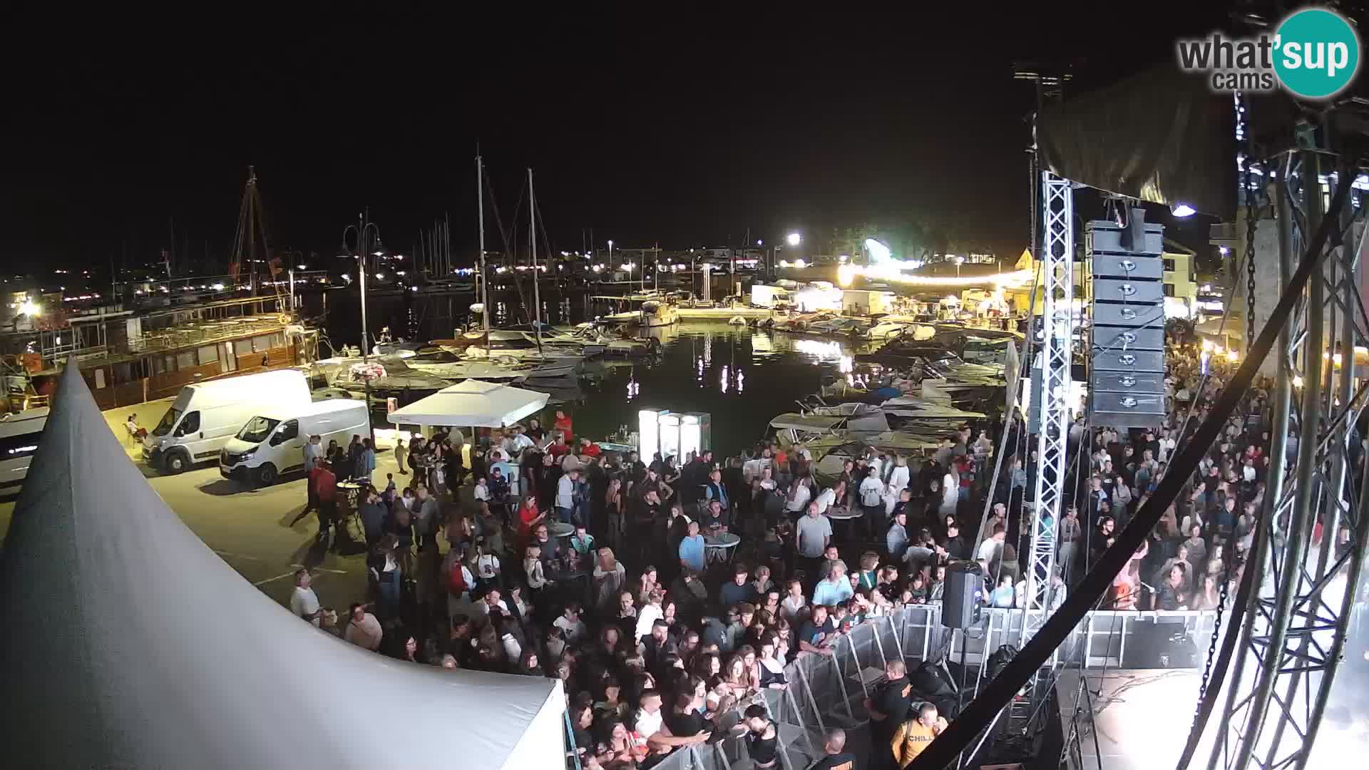 Novigrad | Porporela marina