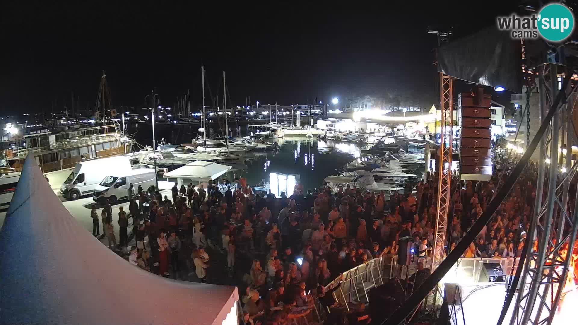 Novigrad | Porporela marina
