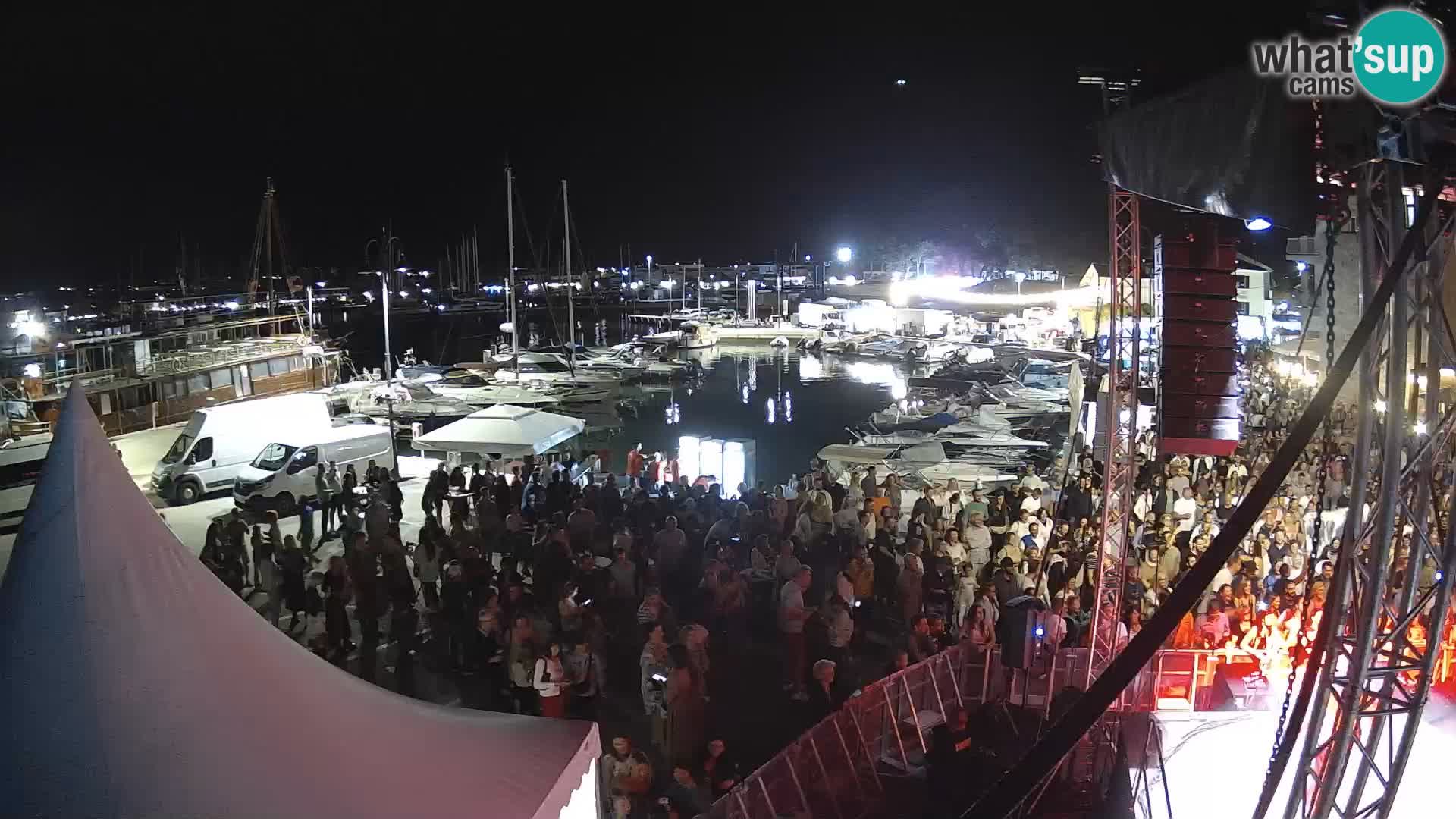 Novigrad | Porporela marina