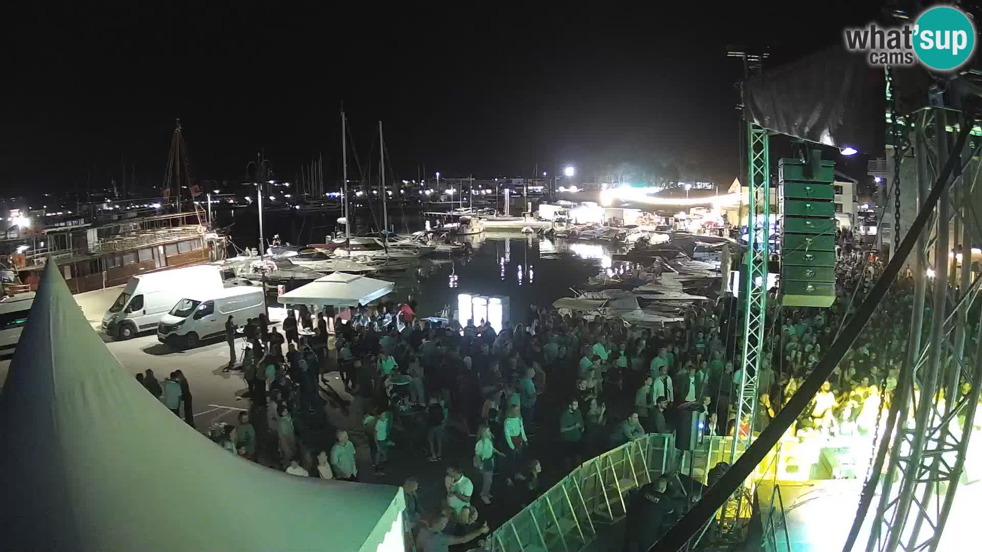 Novigrad | Porporela marina