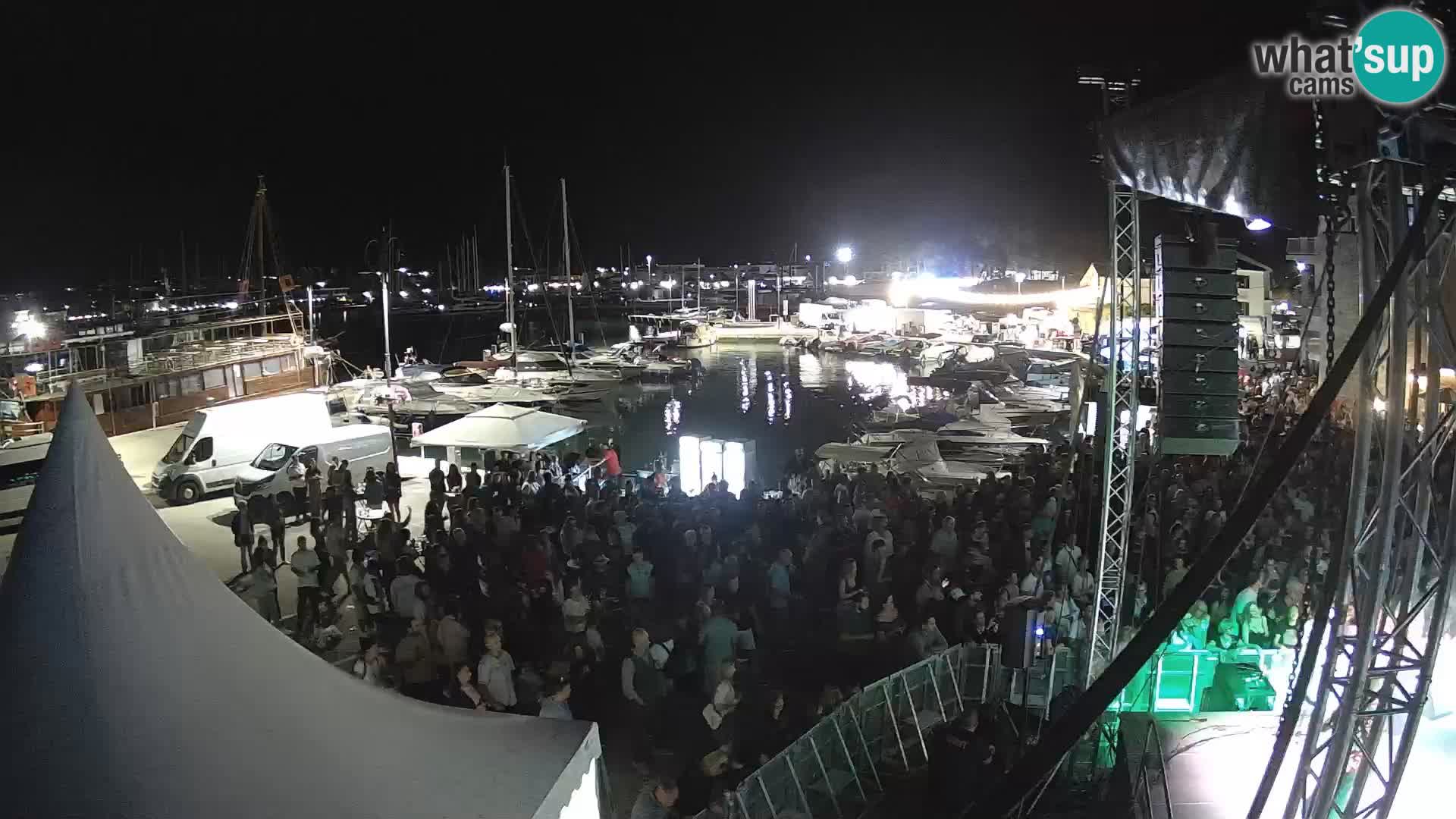 Novigrad | Porporela marina