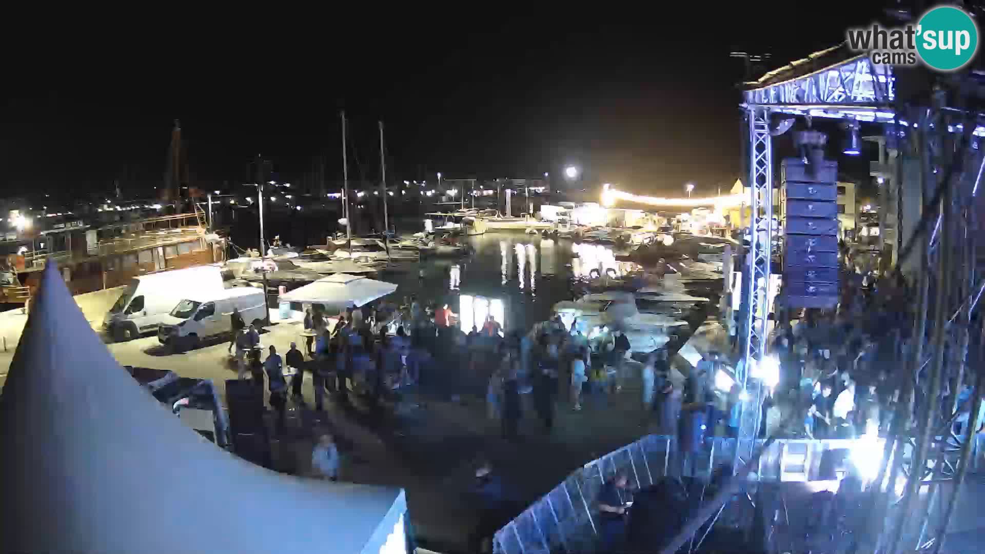 Novigrad | Porporela marina