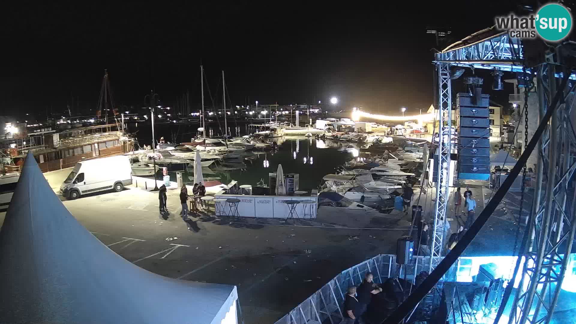 Novigrad | Porporela marina
