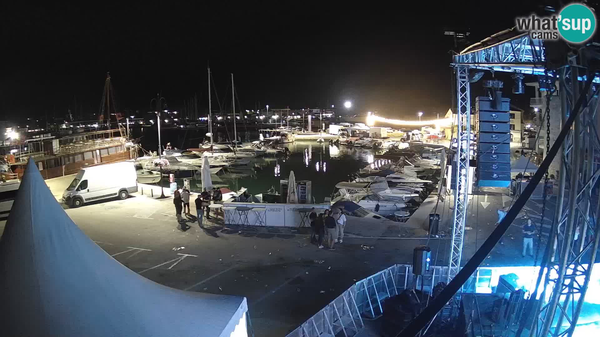 Novigrad | Porporela marina
