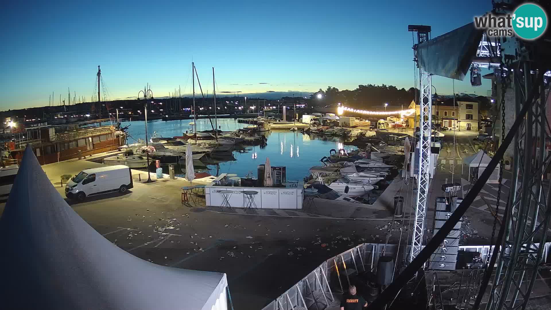 Novigrad | Porporela marina