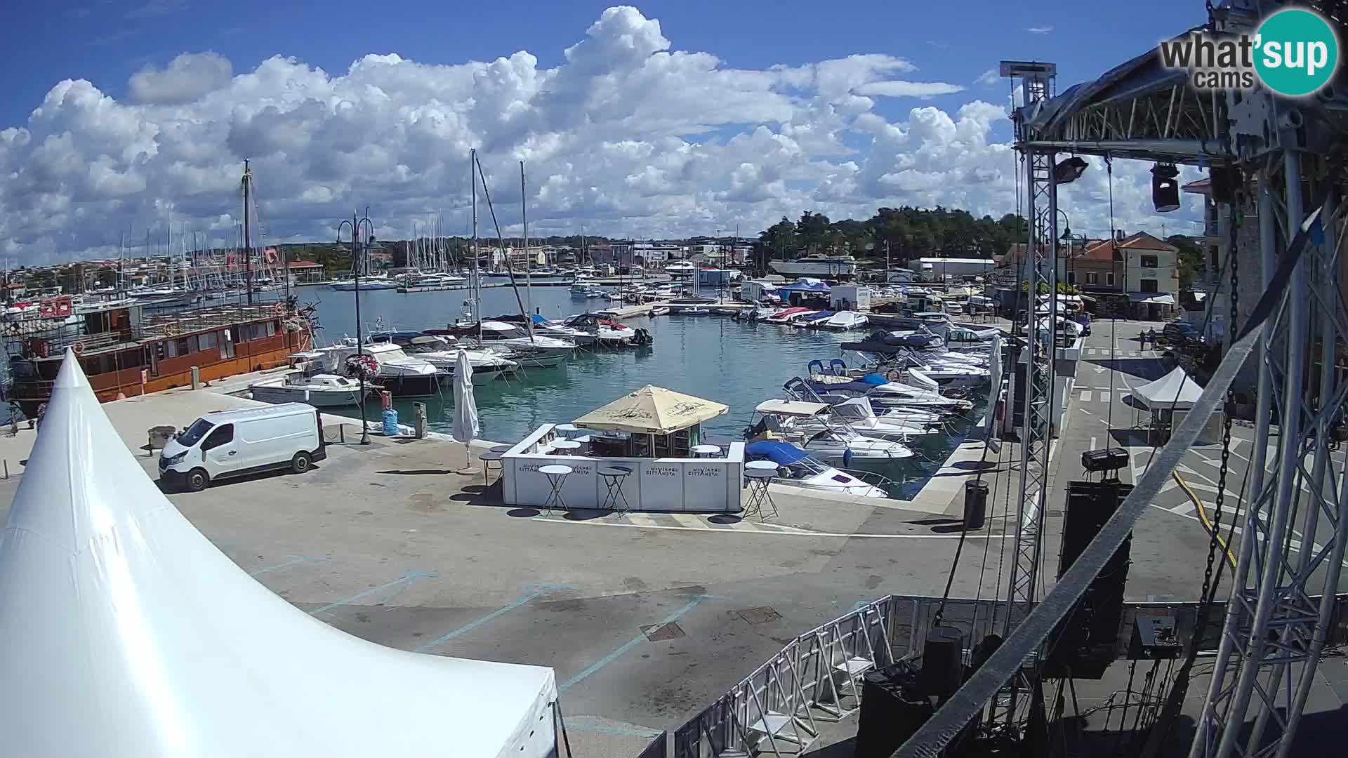 Novigrad | Porporela marina