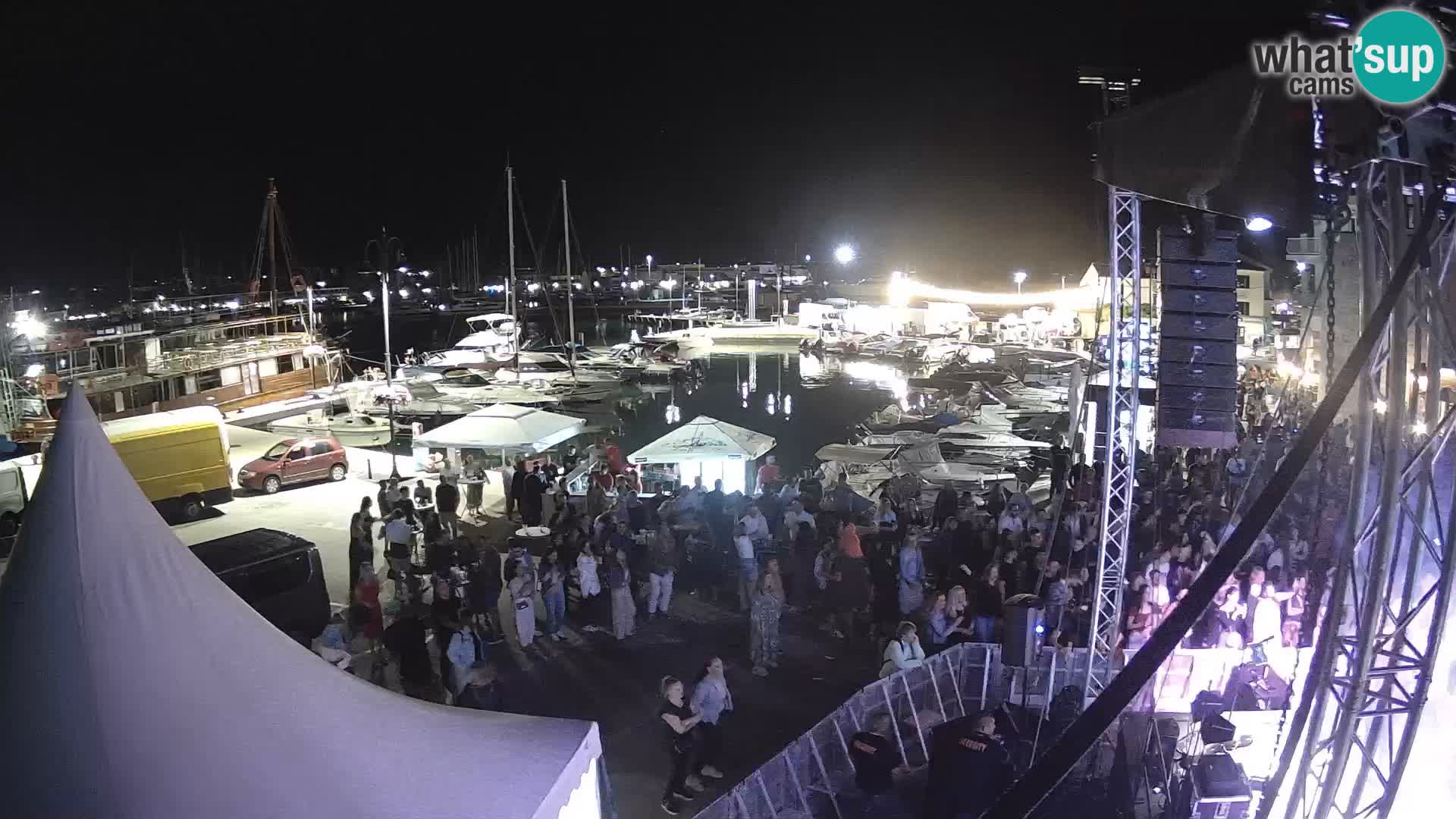 Novigrad | Porporela marina
