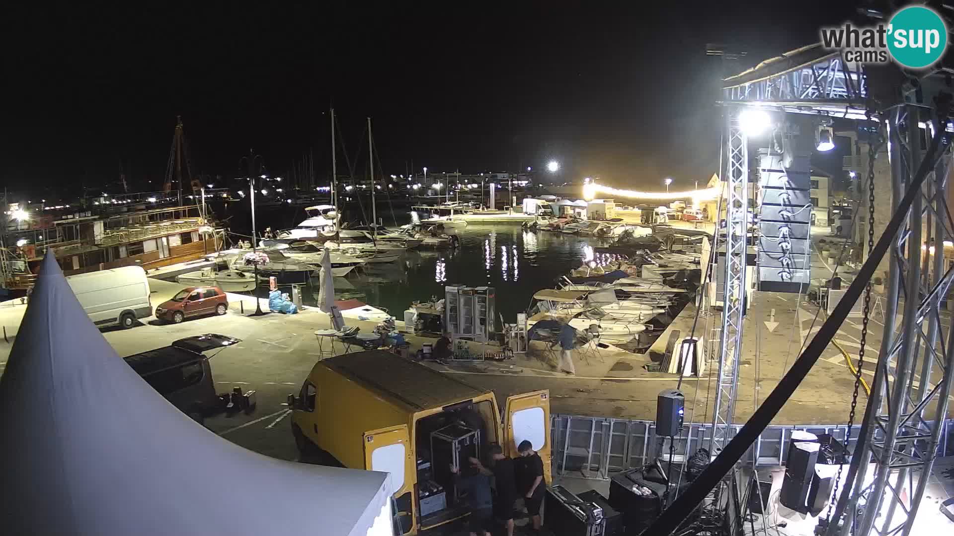 Novigrad | Porporela marina