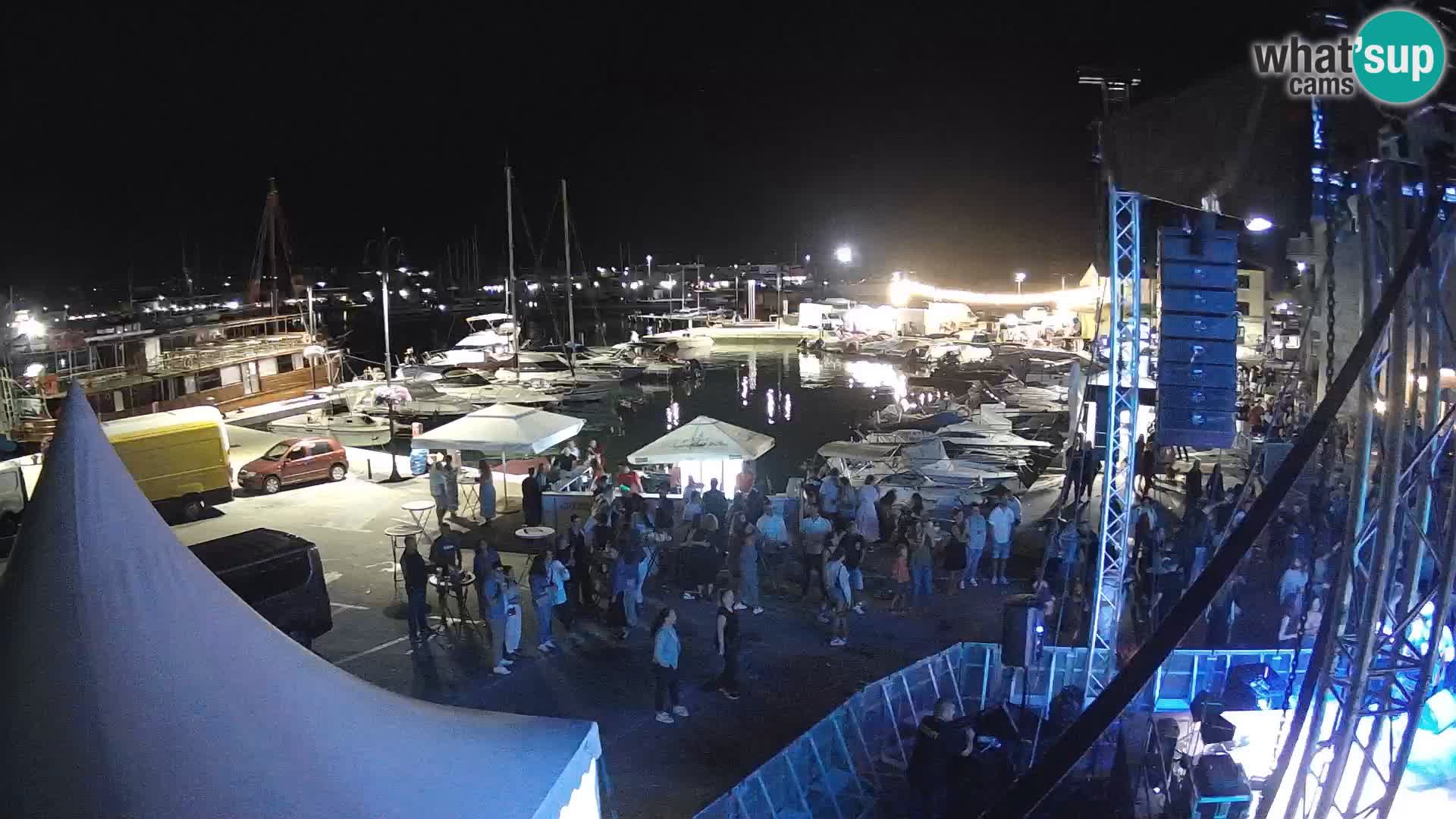 Novigrad | Porporela marina