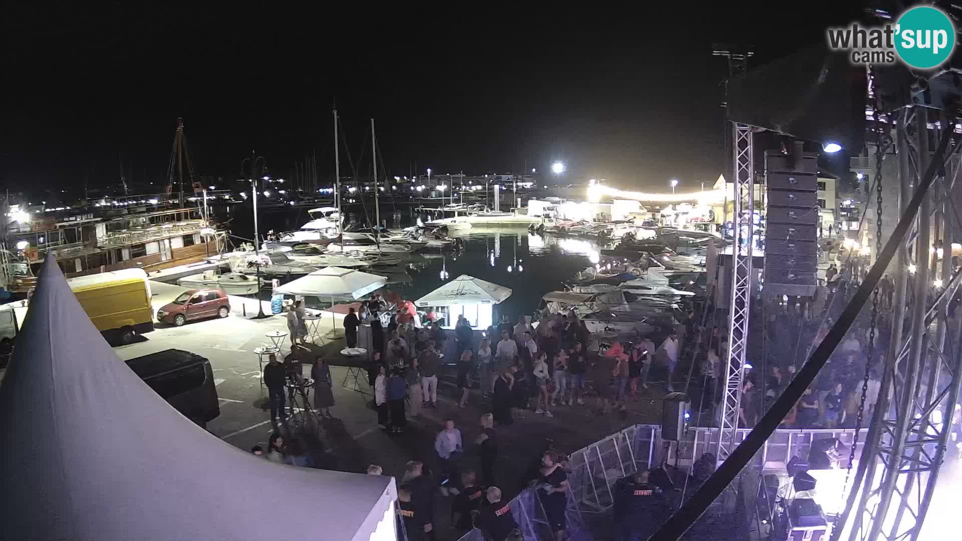 Novigrad | Porporela marina