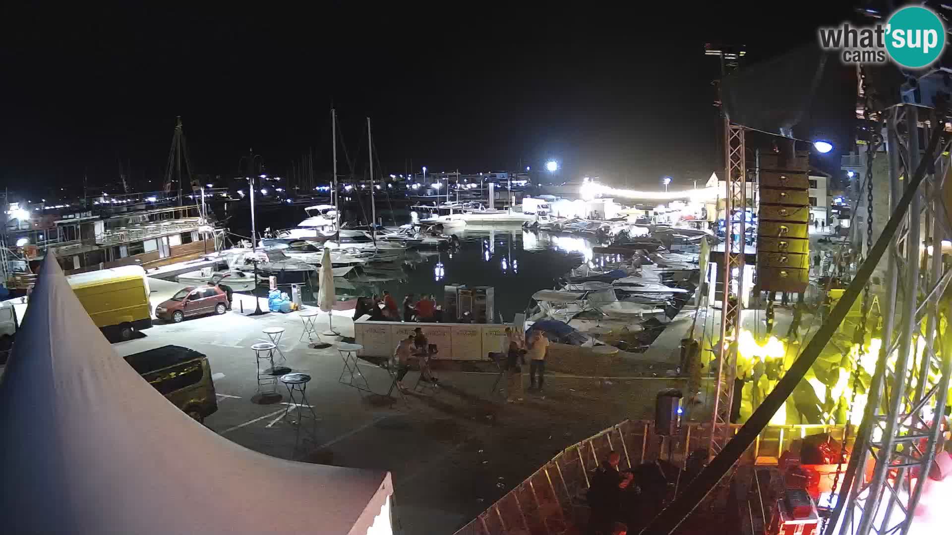 Novigrad | Porporela marina