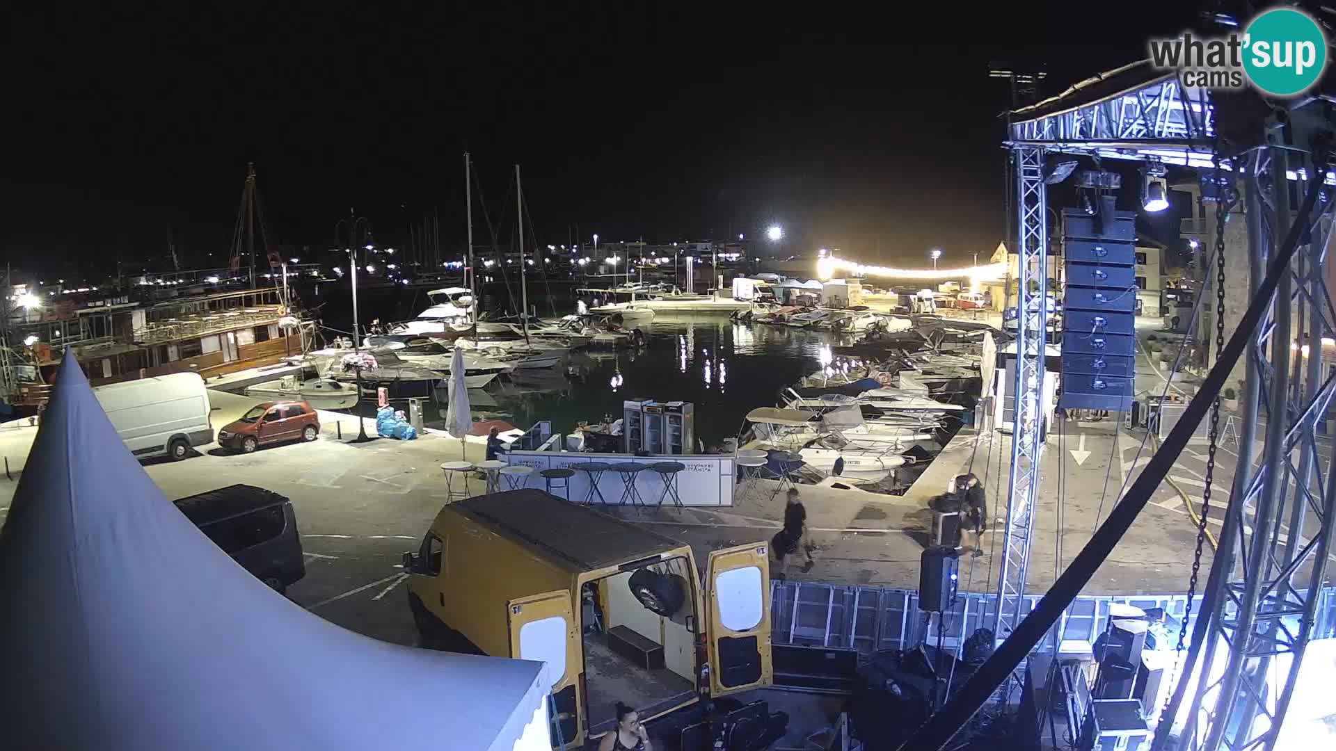 Novigrad | Porporela marina