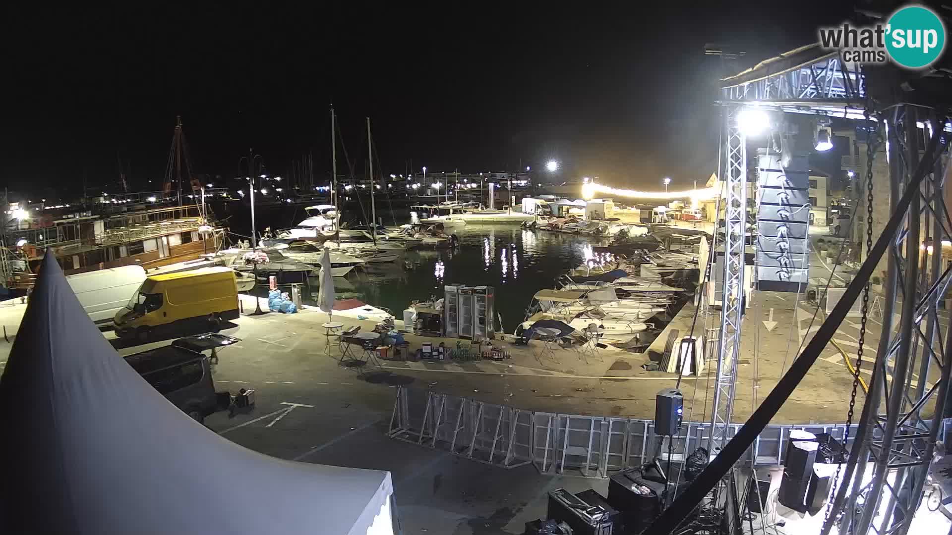 Novigrad | Porporela marina