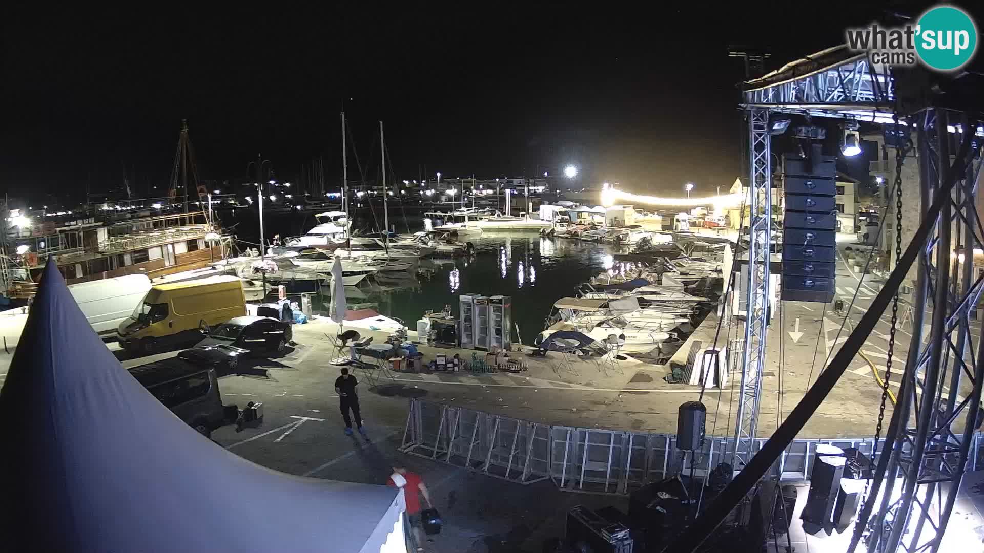 Novigrad | Porporela marina