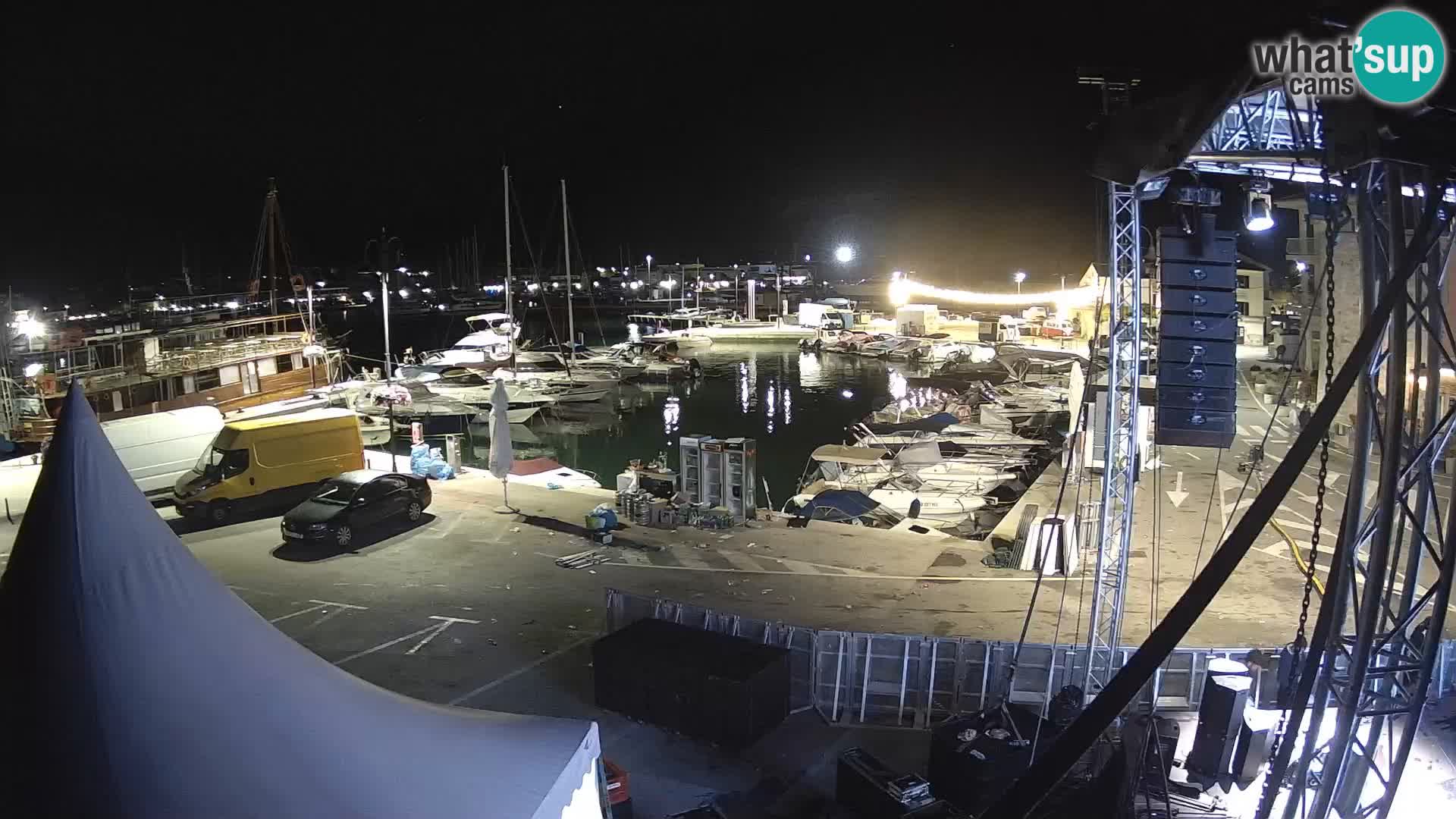 Novigrad | Porporela marina