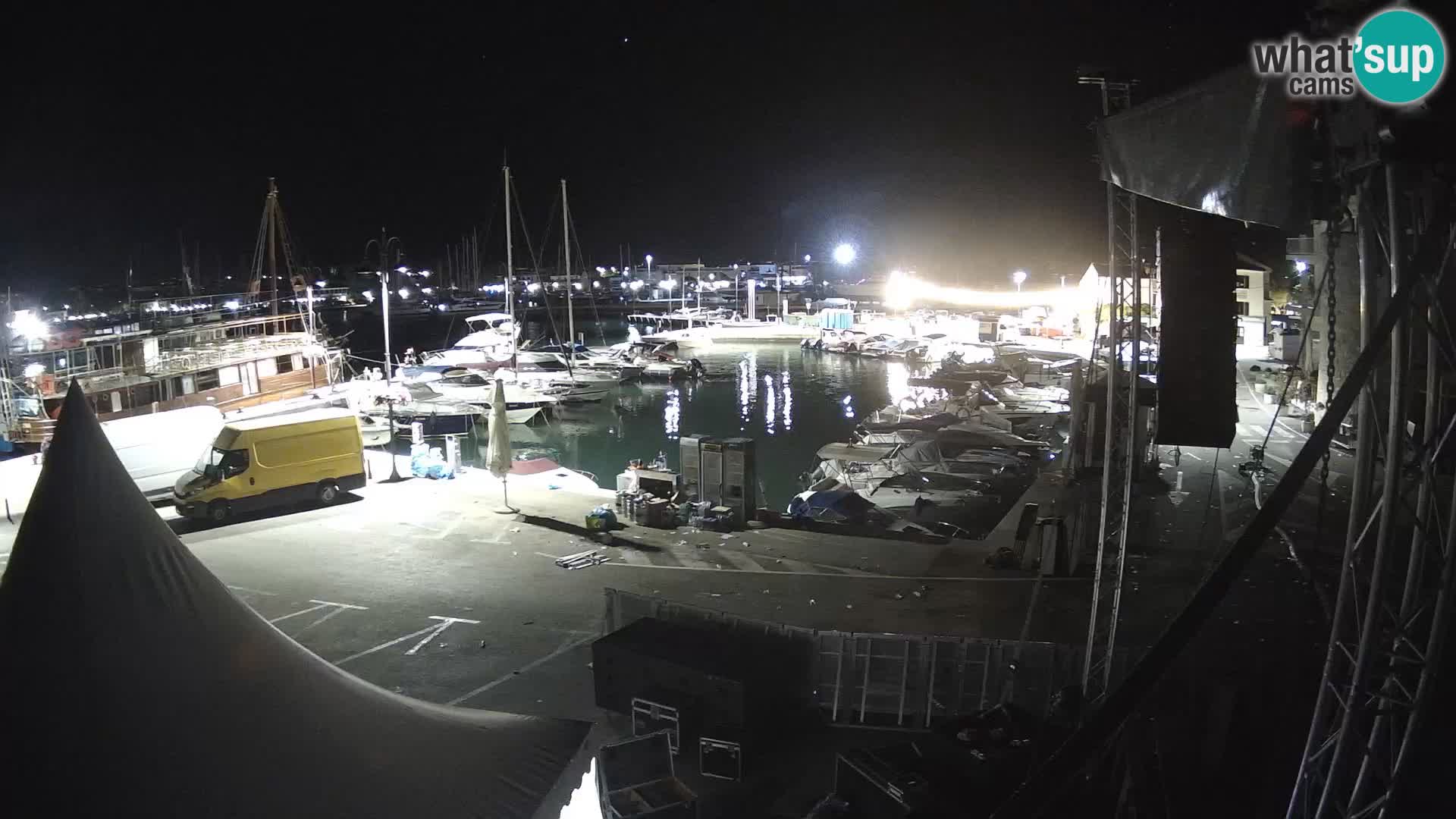 Novigrad | Porporela marina