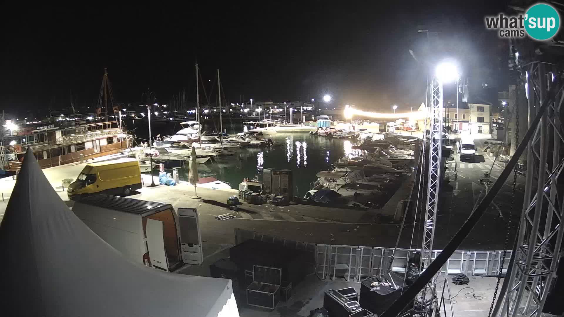 Novigrad | Porporela marina