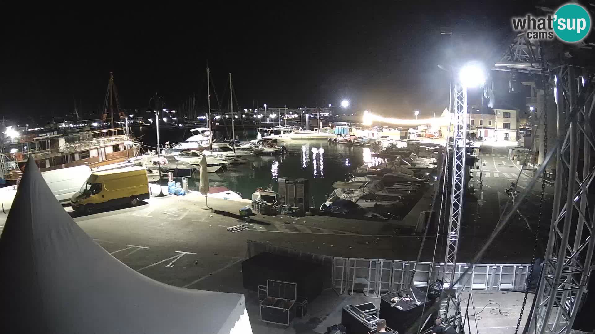 Novigrad | Porporela marina