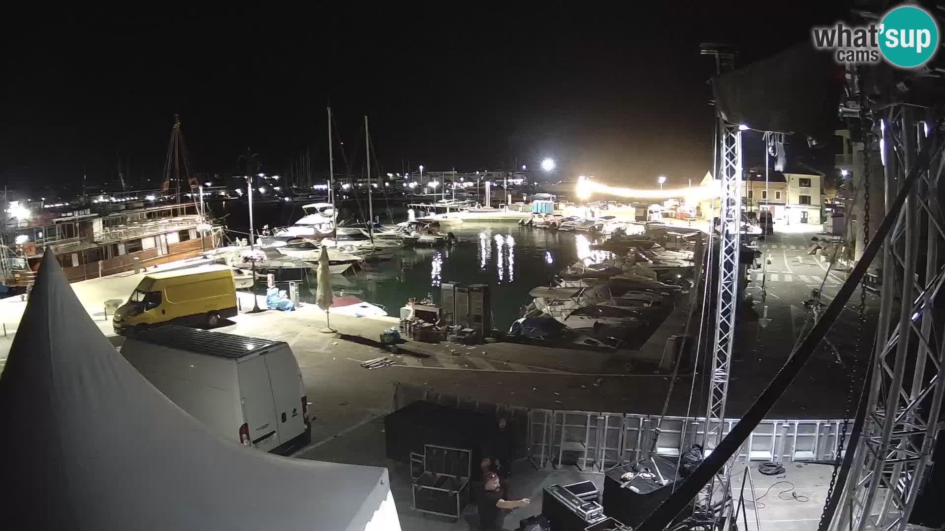 Novigrad | Porporela marina
