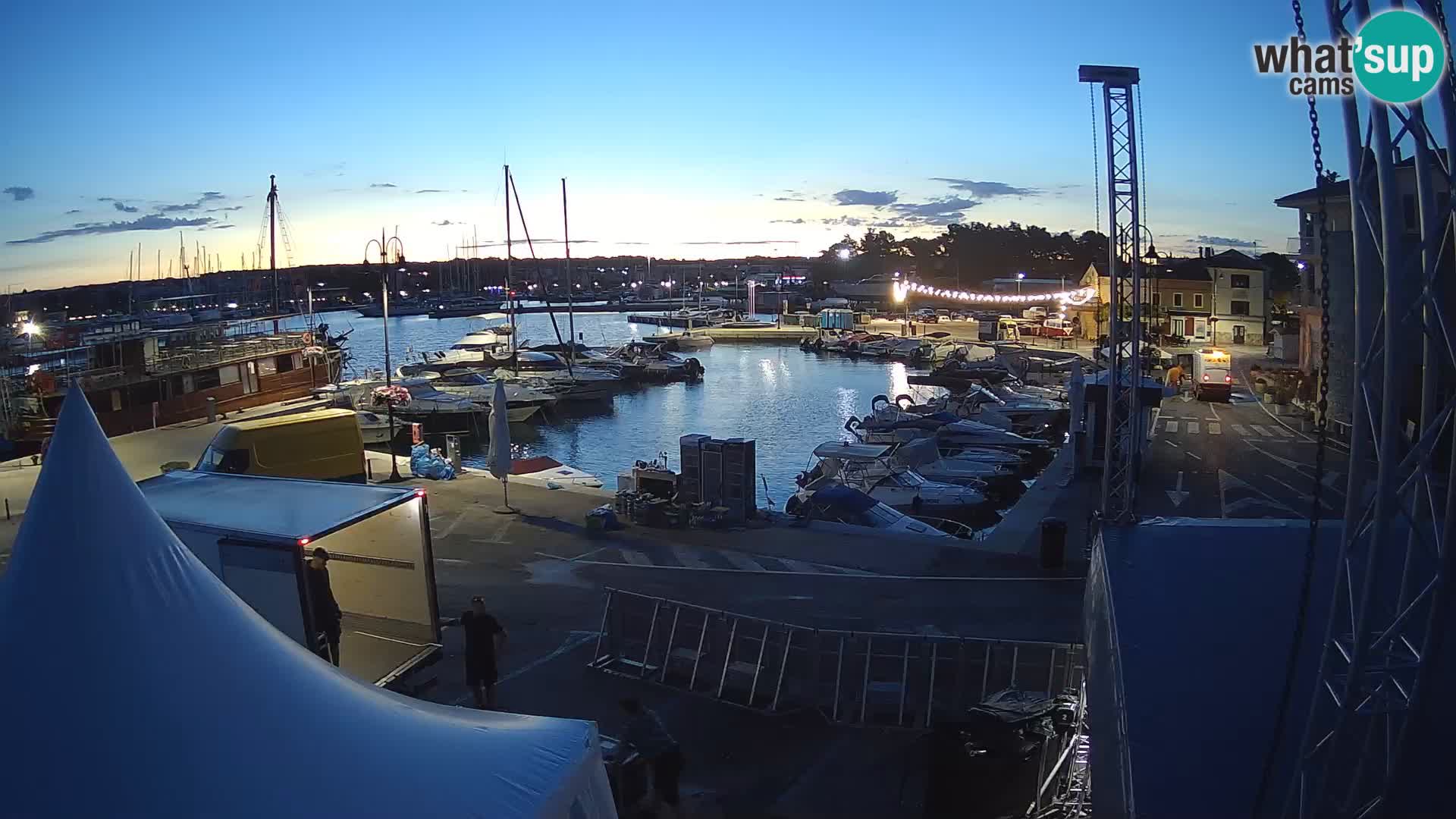 Novigrad | Porporela marina