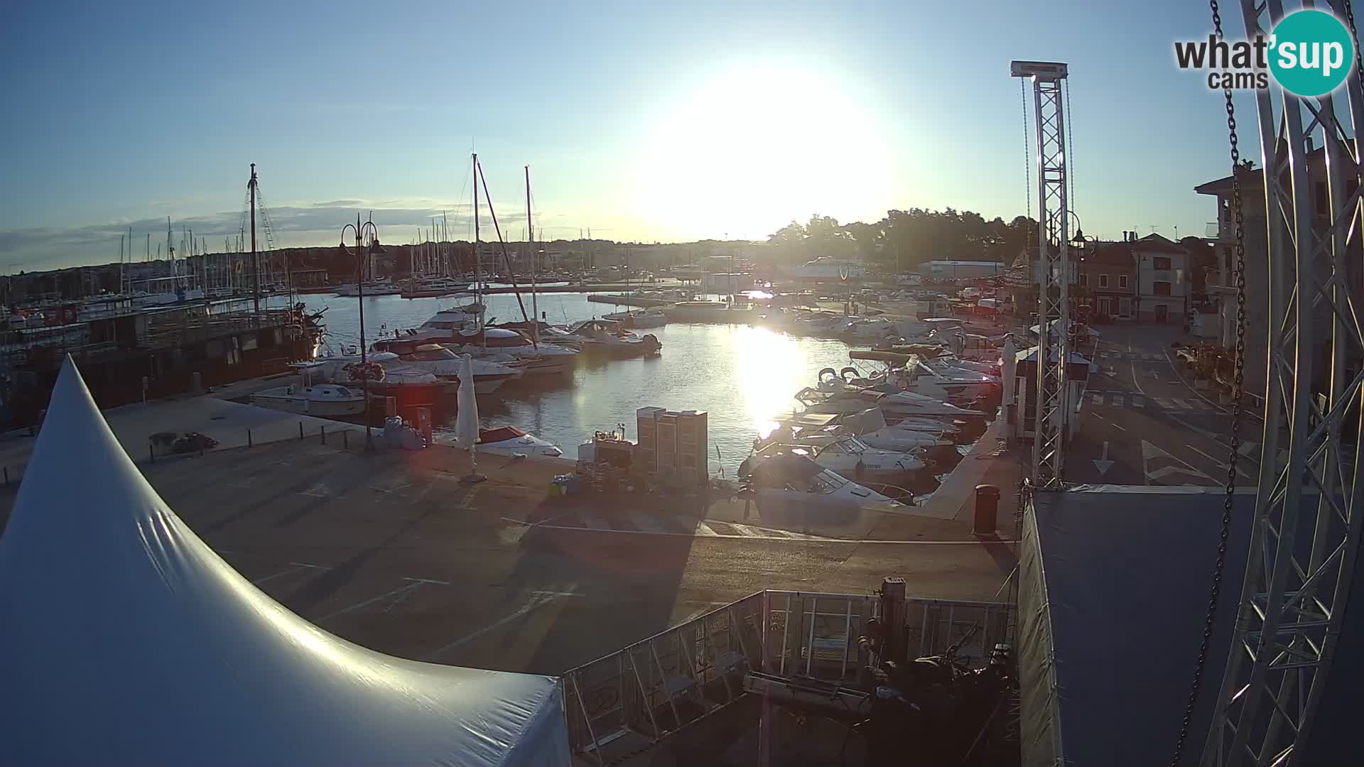 Novigrad | Porporela marina