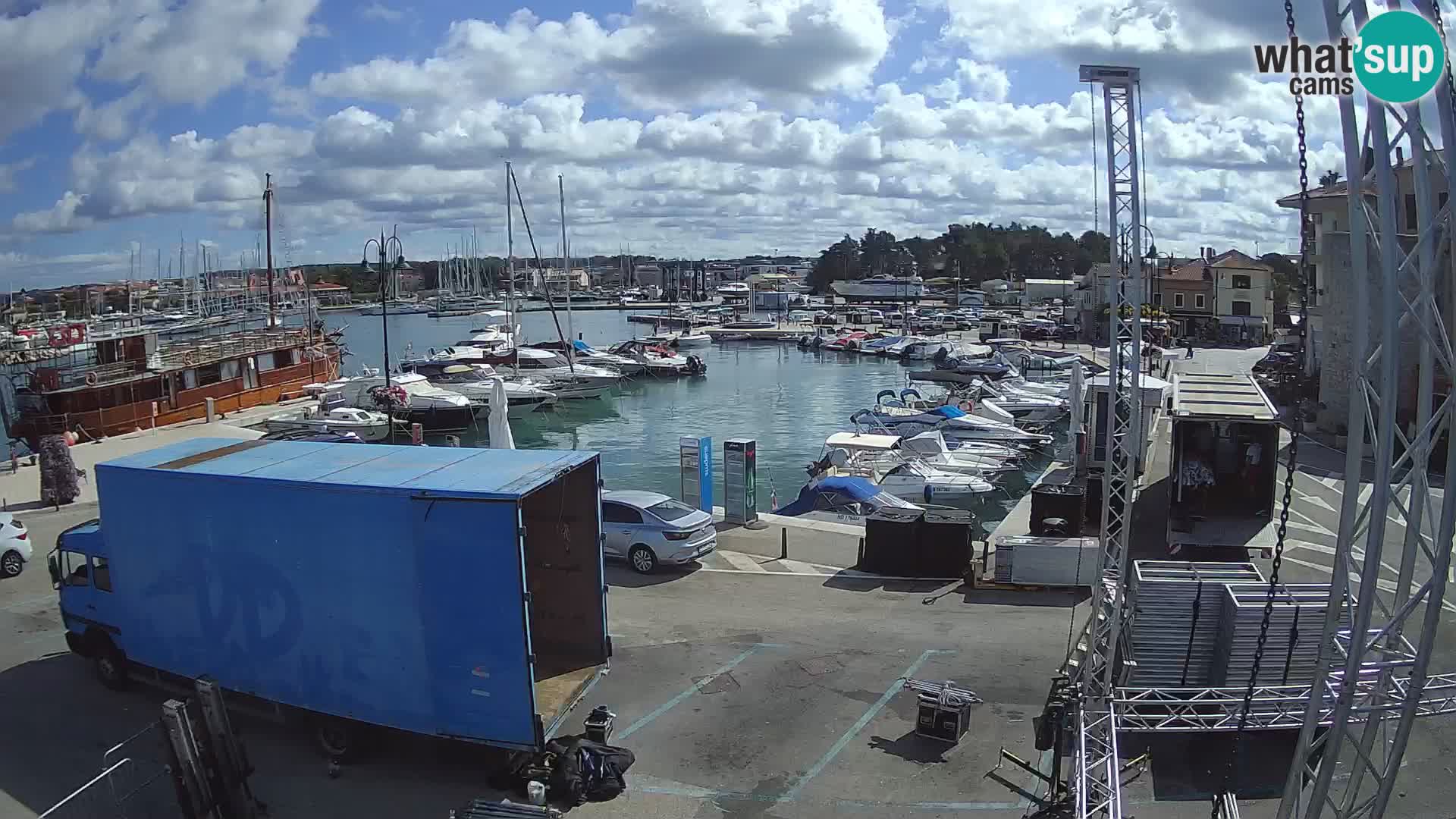 Novigrad | Porporela marina