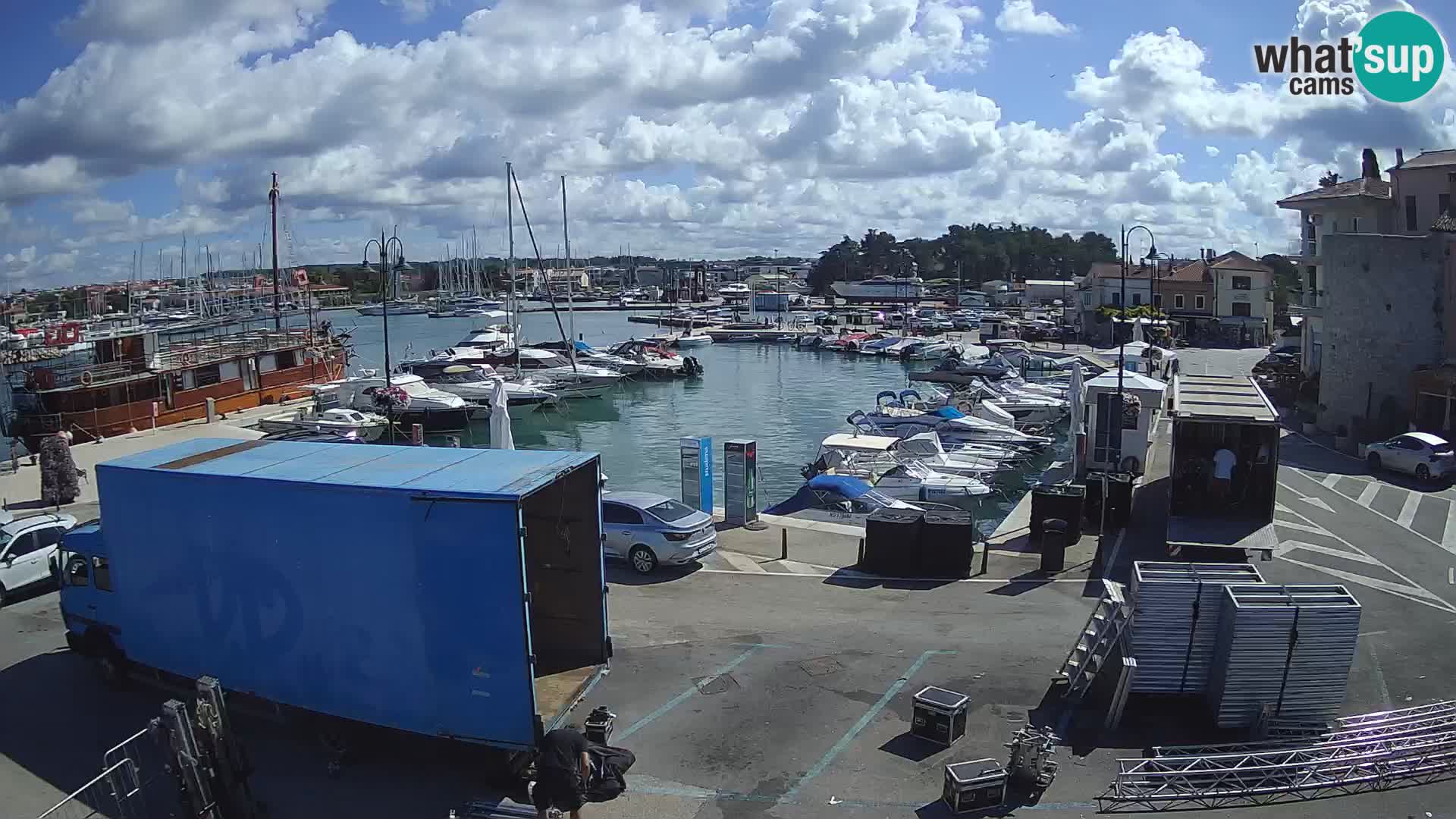 Novigrad | Porporela marina