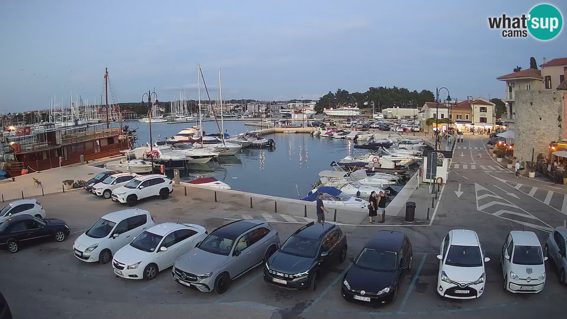 Novigrad | Porporela marina