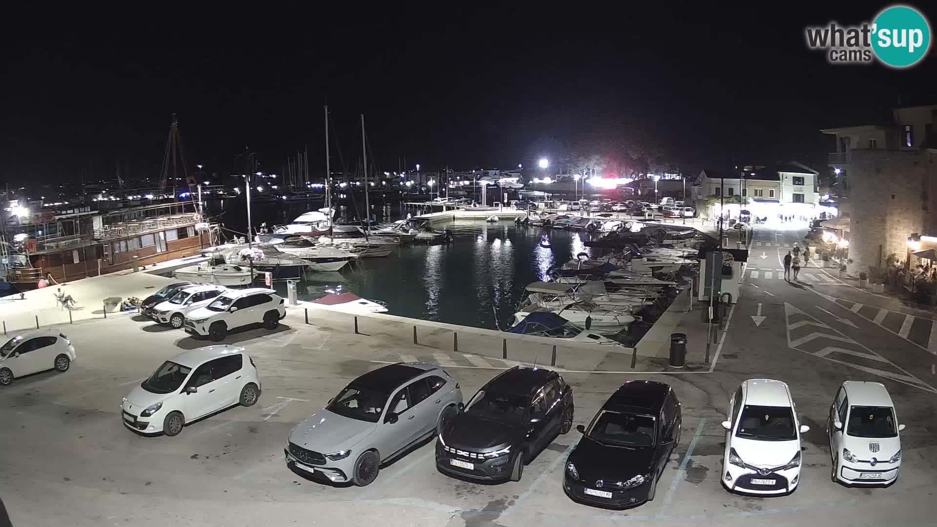 Novigrad | Porporela marina