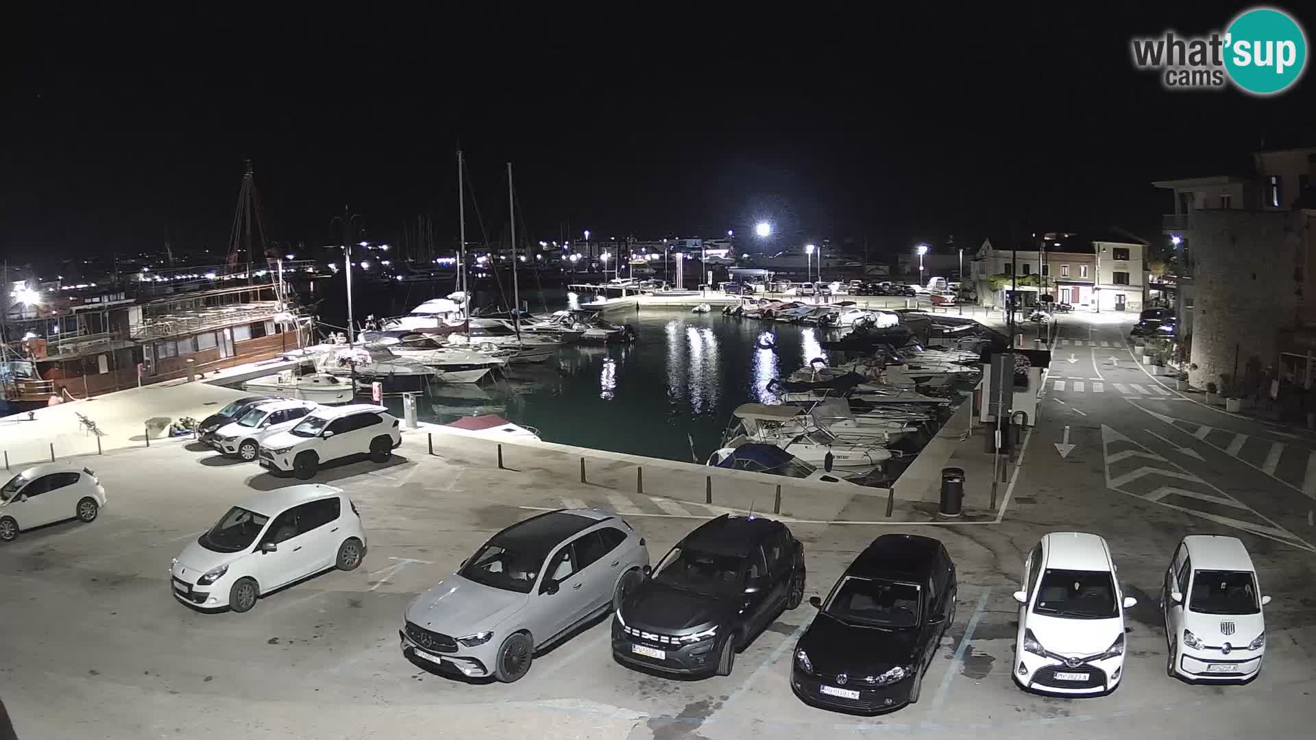 Novigrad | Porporela marina