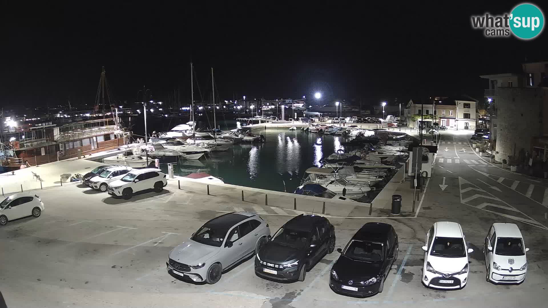 Novigrad | Porporela marina