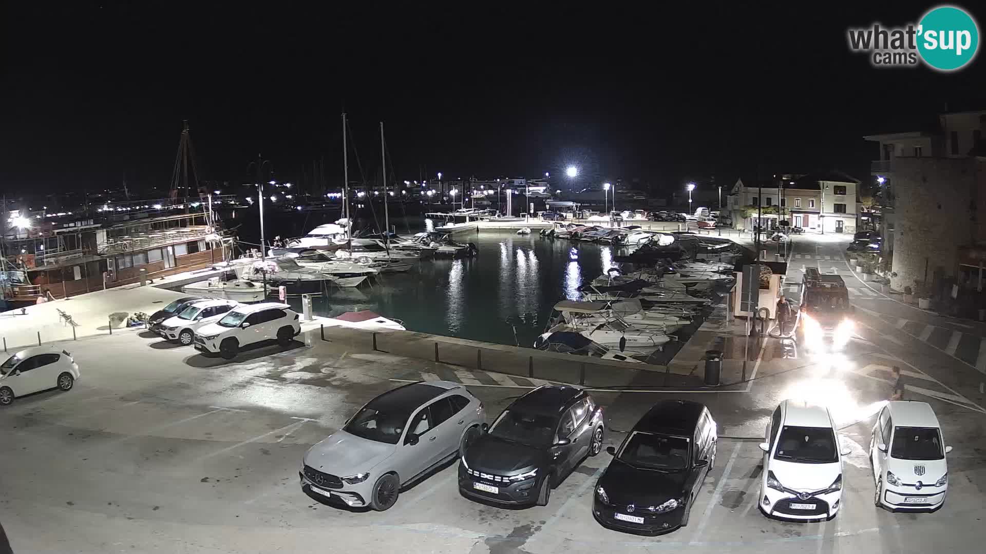 Novigrad | Porporela marina