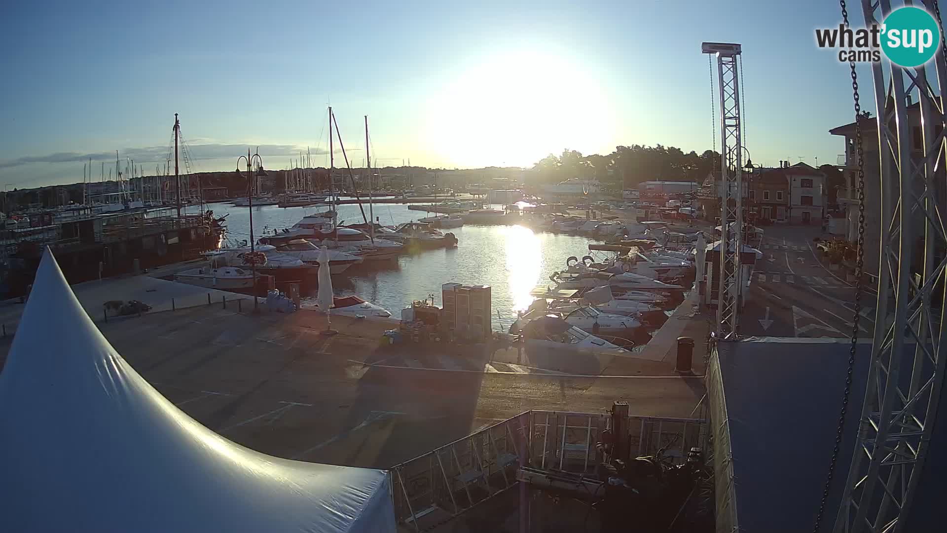 Novigrad | Porporela marina