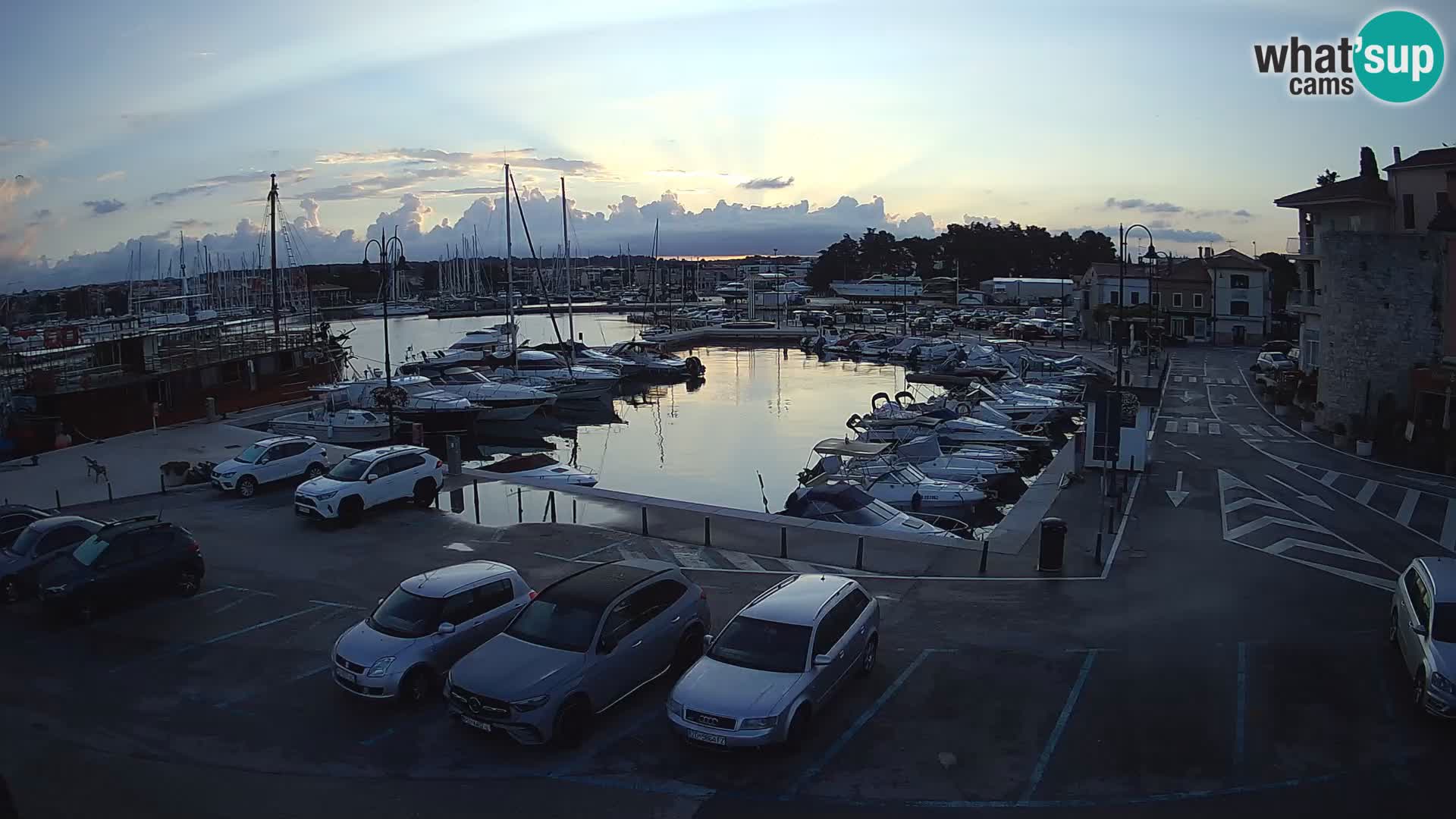 Novigrad | Porporela marina