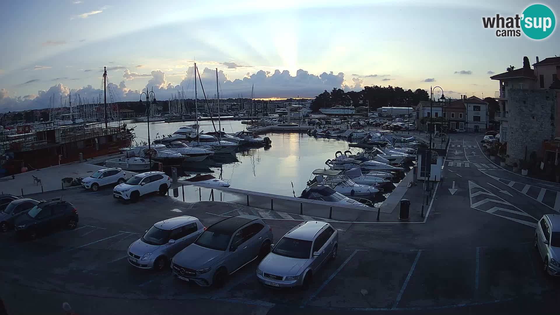 Novigrad | Porporela marina