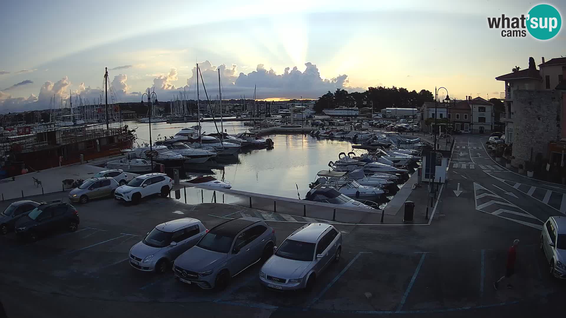 Novigrad | Porporela marina