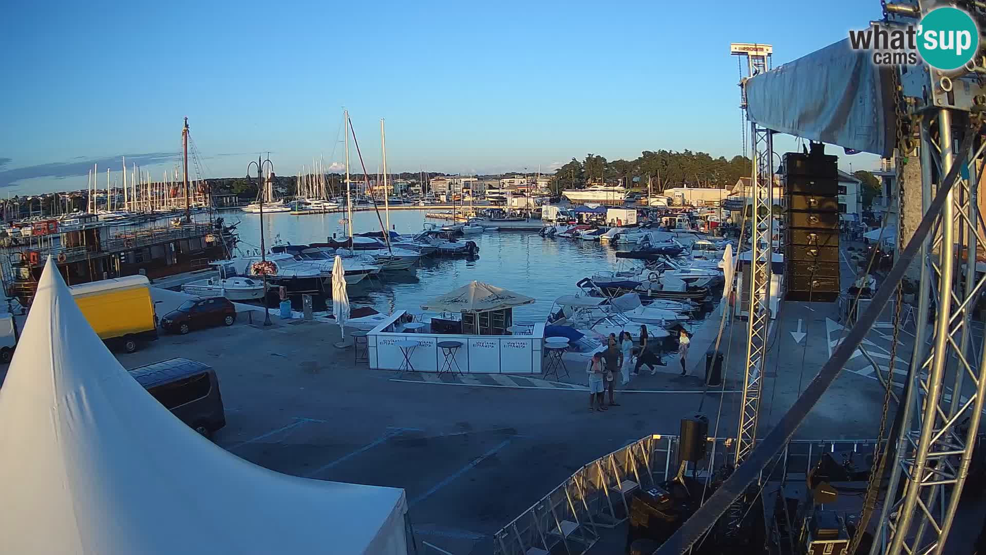 Novigrad | Porporela marina