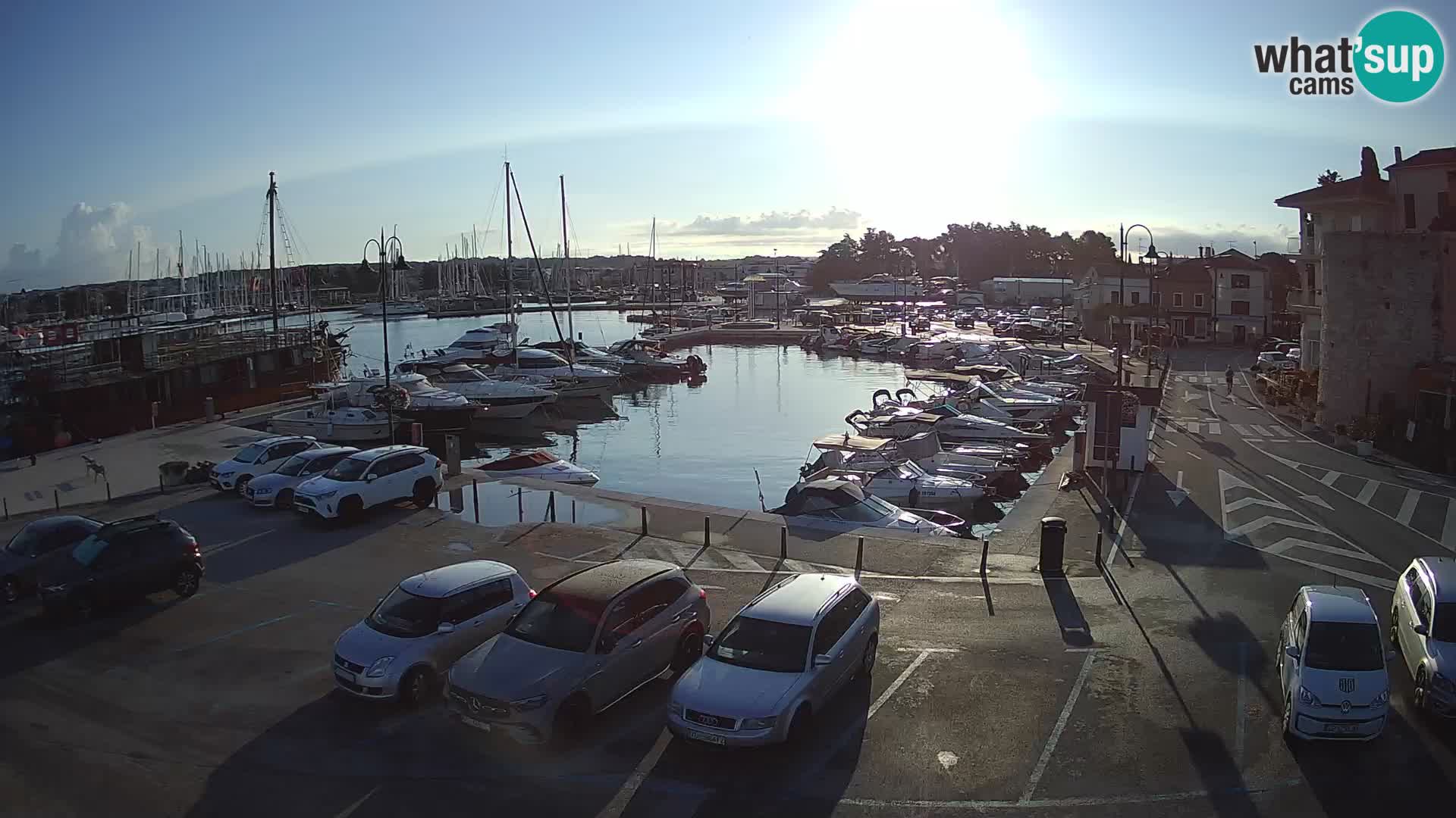 Novigrad | Porporela marina