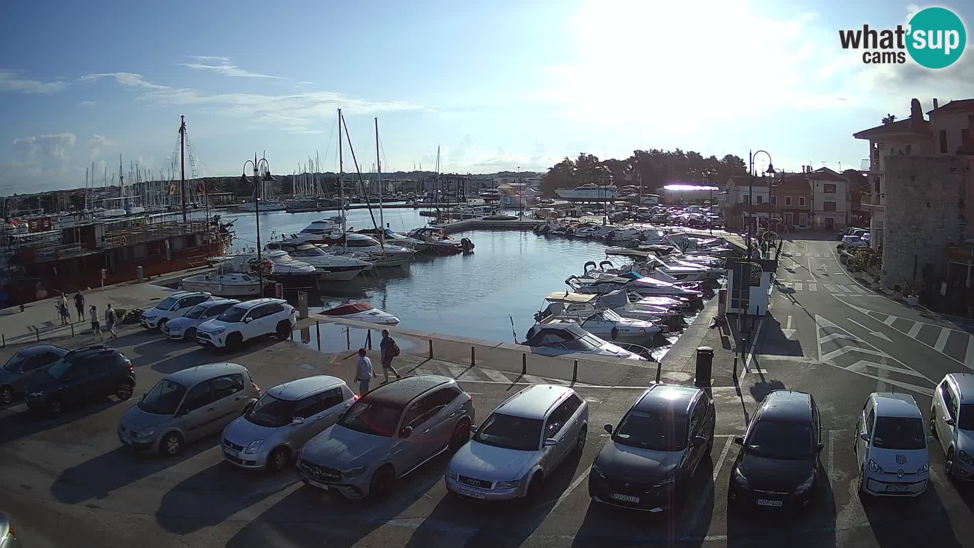 Novigrad | Porporela marina