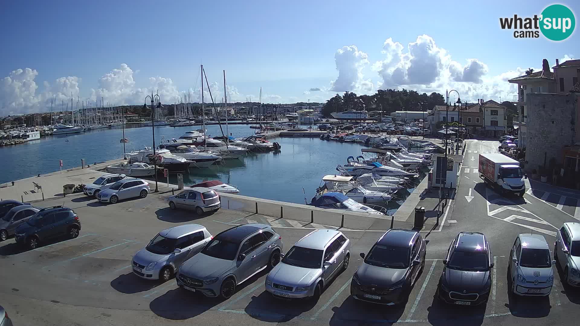 Novigrad | Porporela marina
