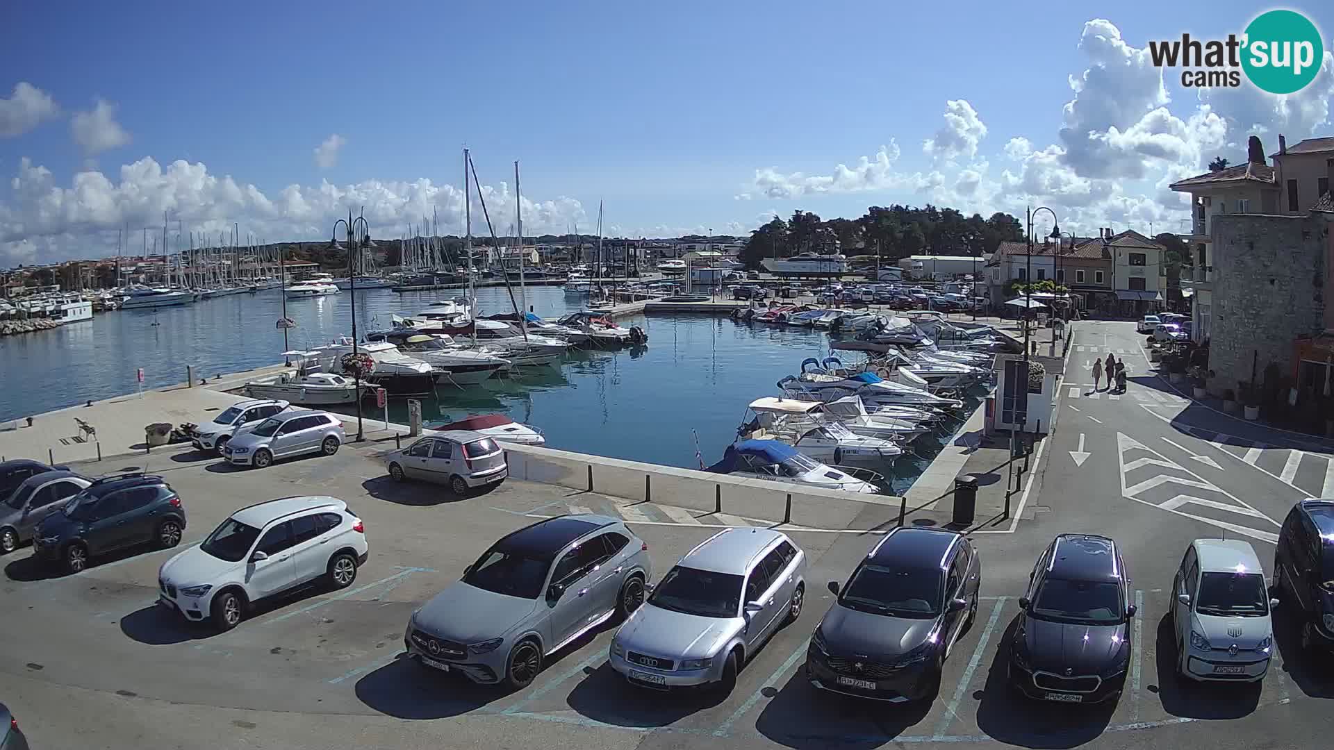 Novigrad | Porporela marina