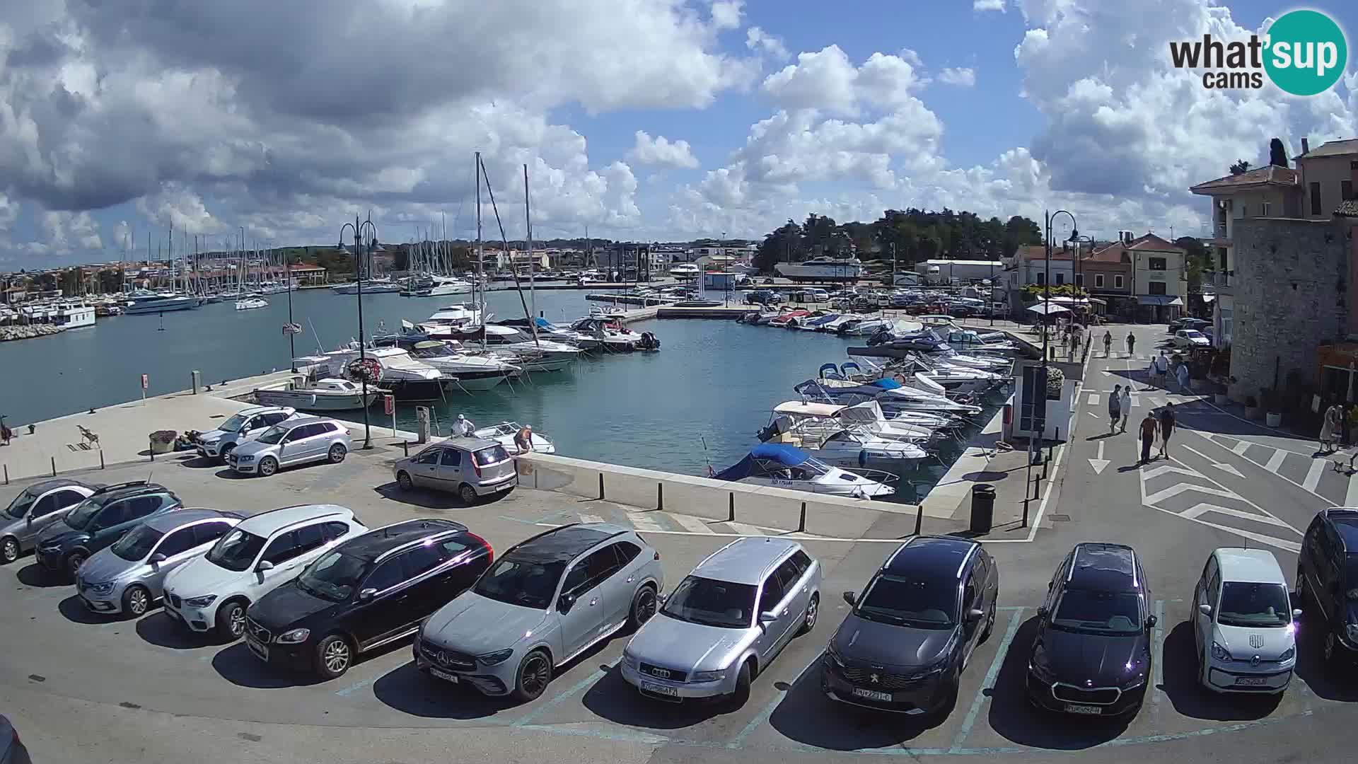 Novigrad | Porporela marina