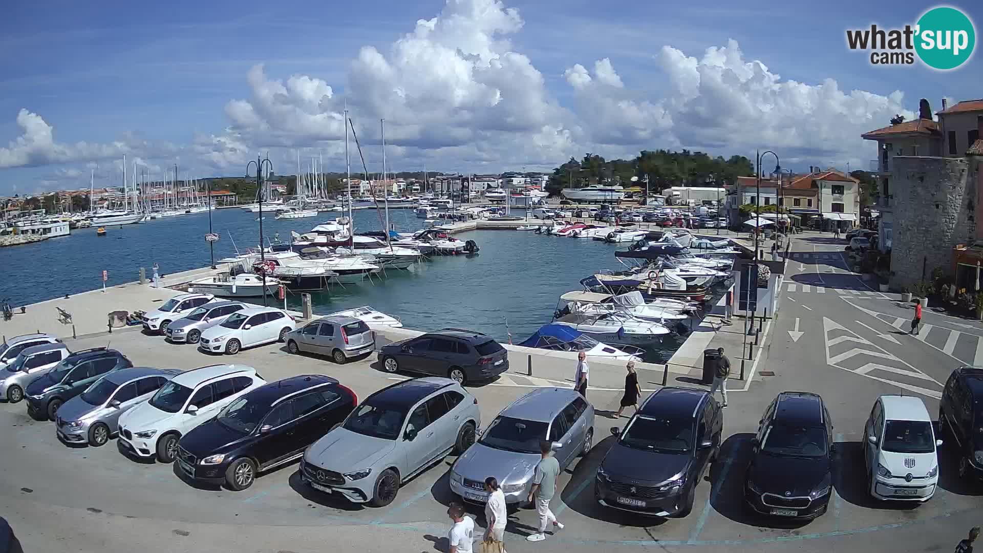 Novigrad | Porporela marina