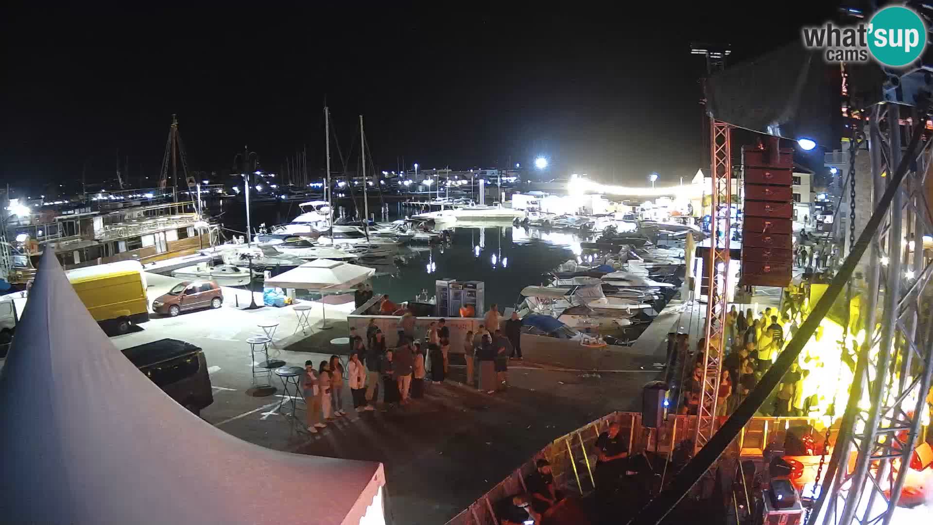Novigrad | Porporela marina